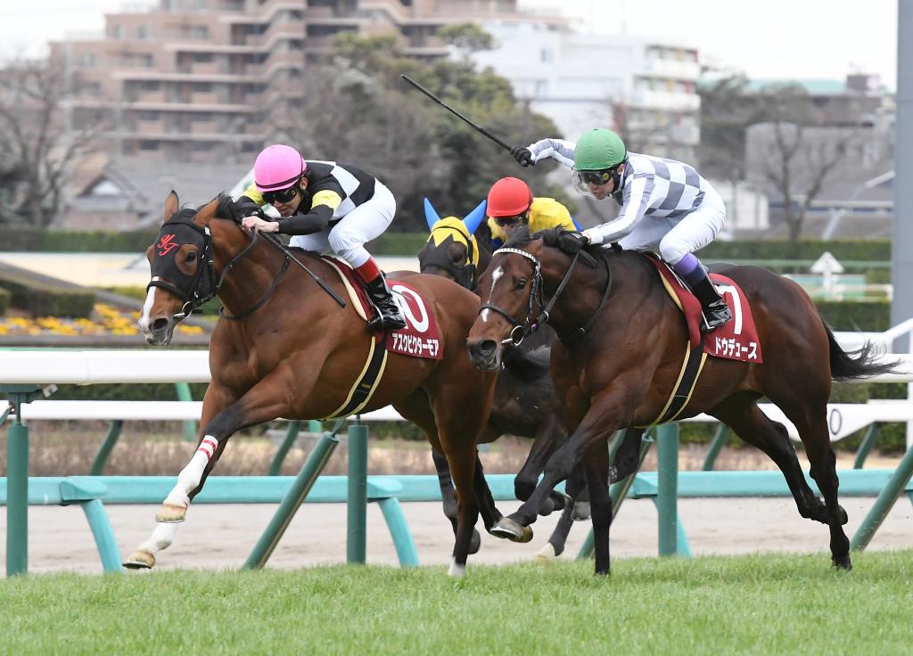 菊花賞 春２冠の連対馬不在で武豊 福永騎手は異なる馬で参戦 最後の一冠をかけた熾烈な戦いの注目点 サンスポzbat