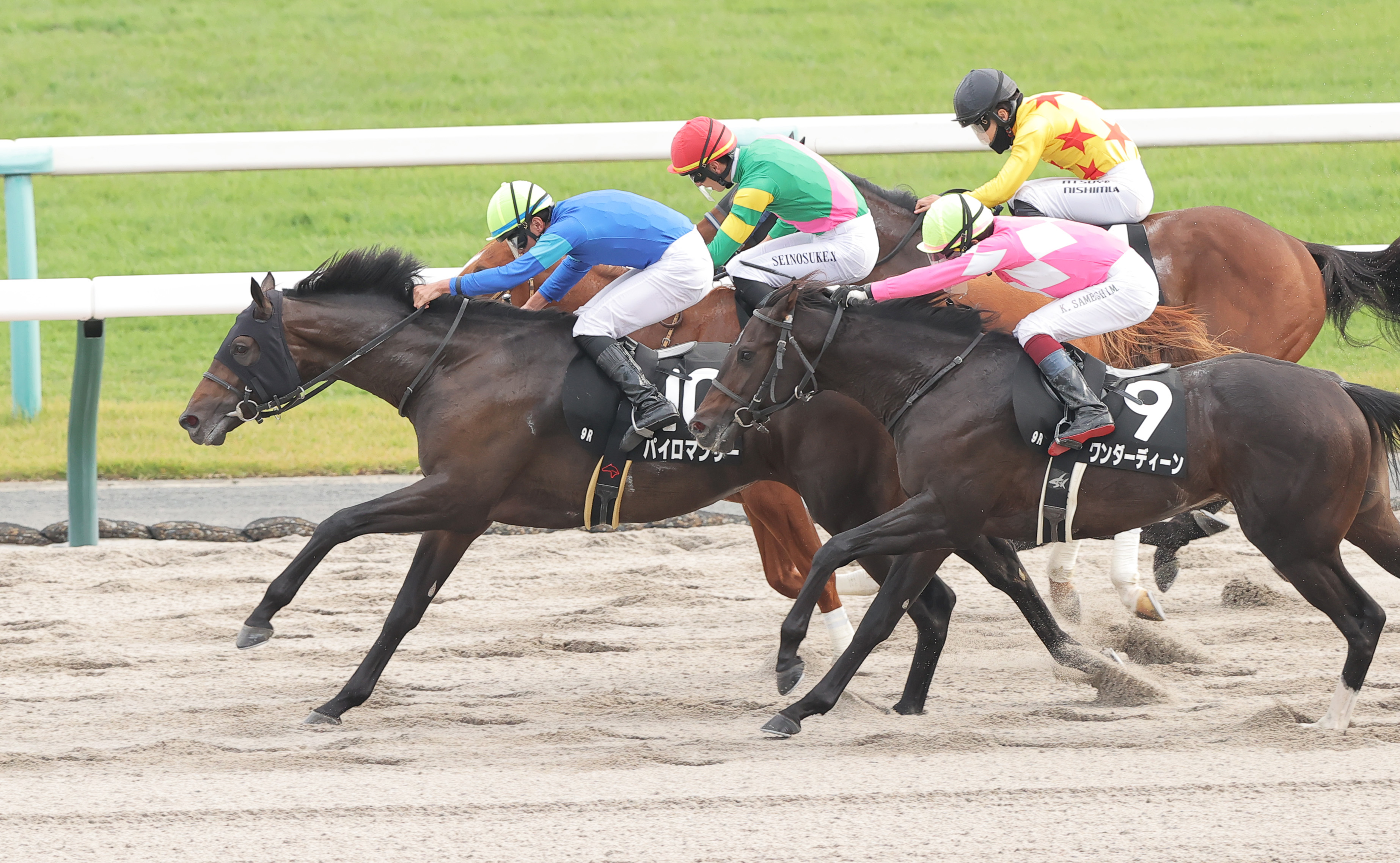 全日本2歳優駿】絶好調のサンスポ綿越亮介記者はパイロマンサーで勝負