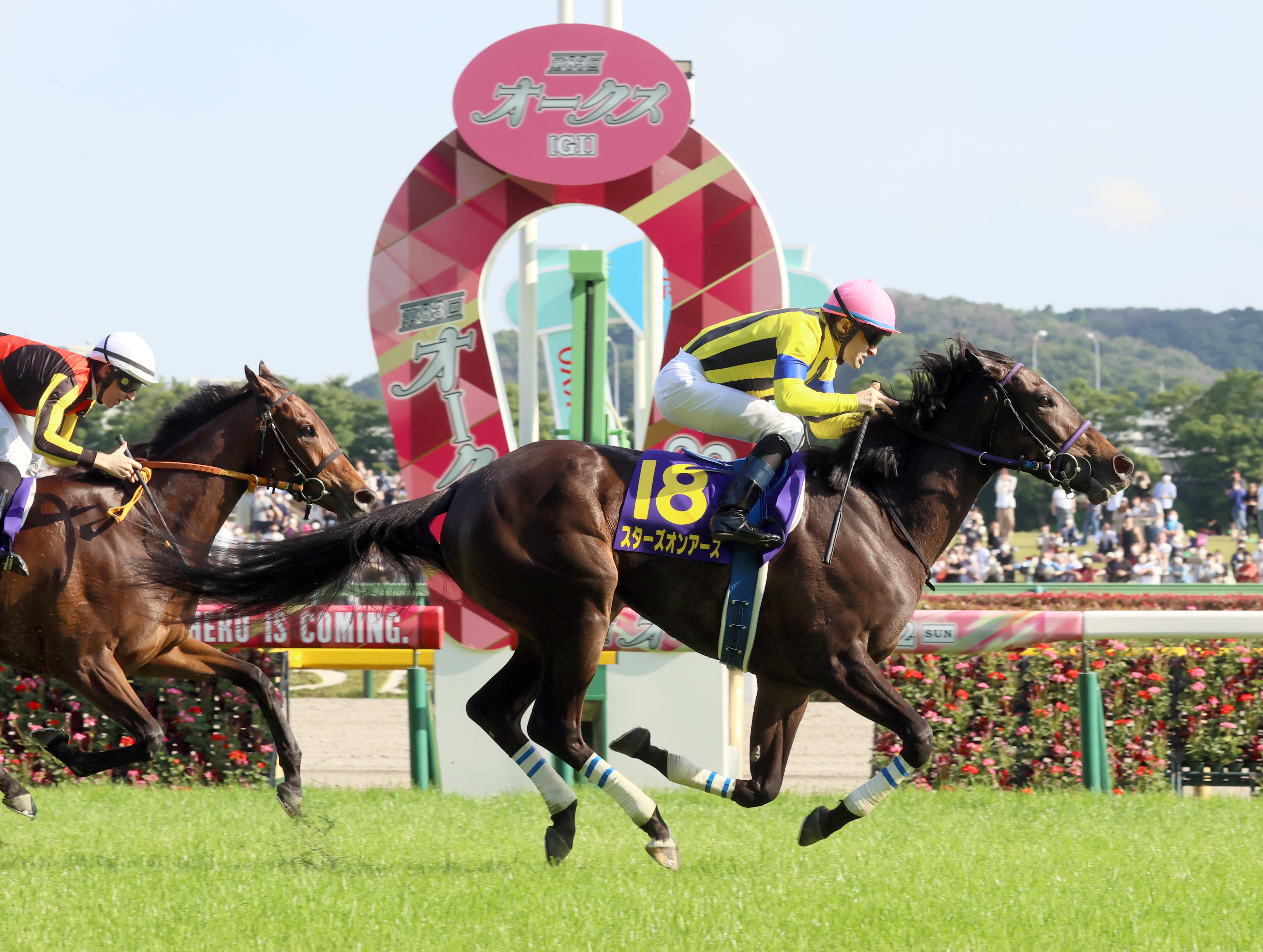 JRA 競馬 オークス スターズオンアース ポスター B1 - コレクション