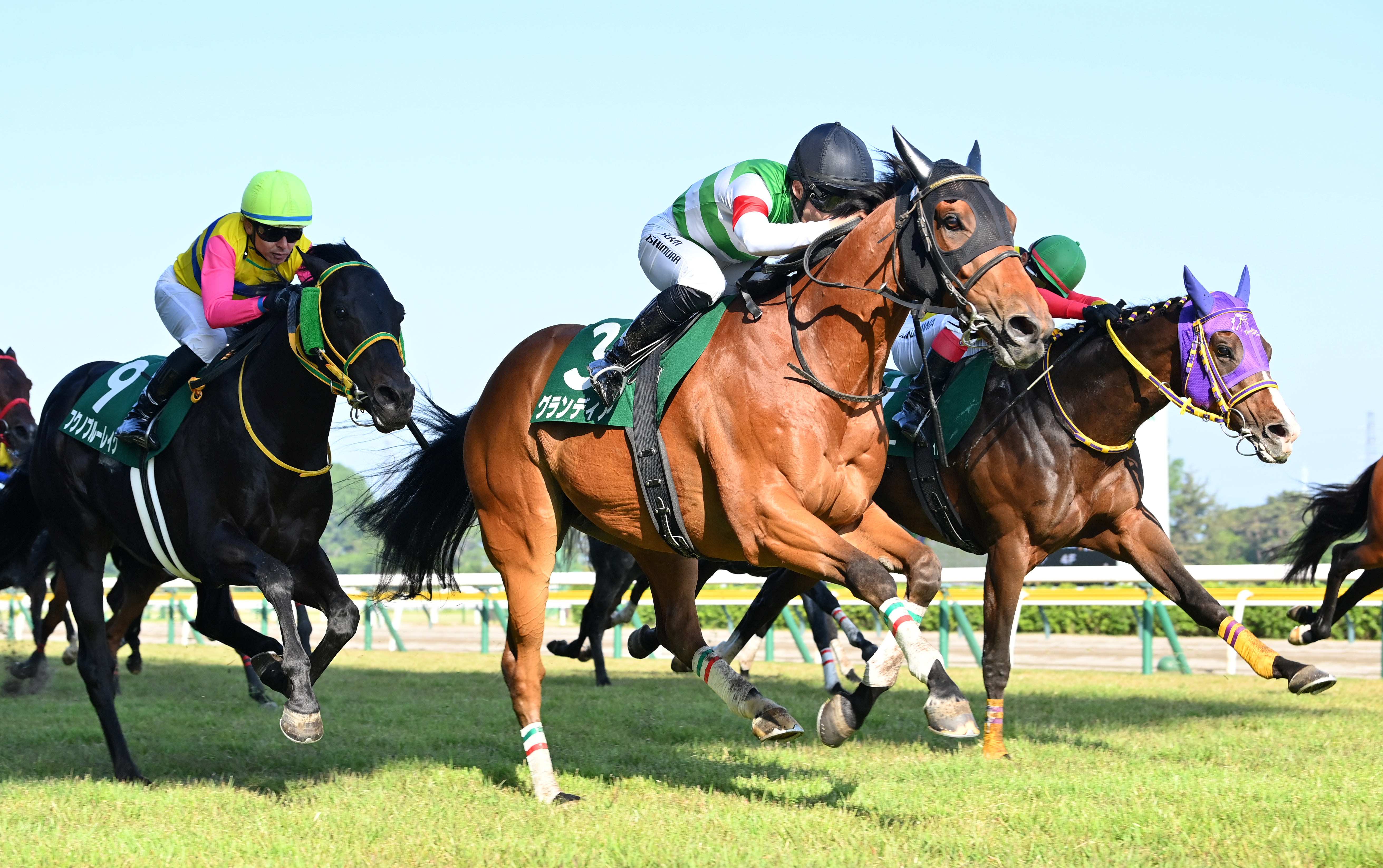 新潟大賞典】7歳馬グランディア、2年2カ月ぶりVが重賞初制覇