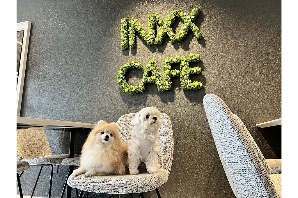 newオープン！INXX CAFÉさんで久々の再開 - イザ！