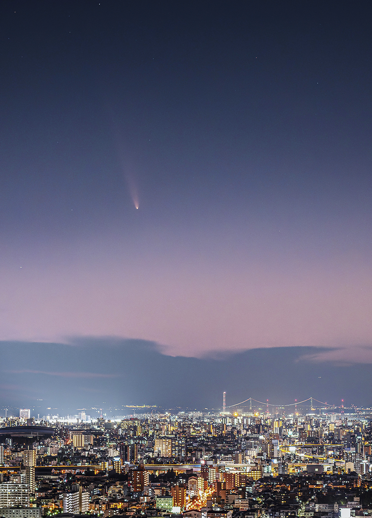 肉眼で見える可能性も 長い尾の紫金山・アトラス彗星、20日にかけ