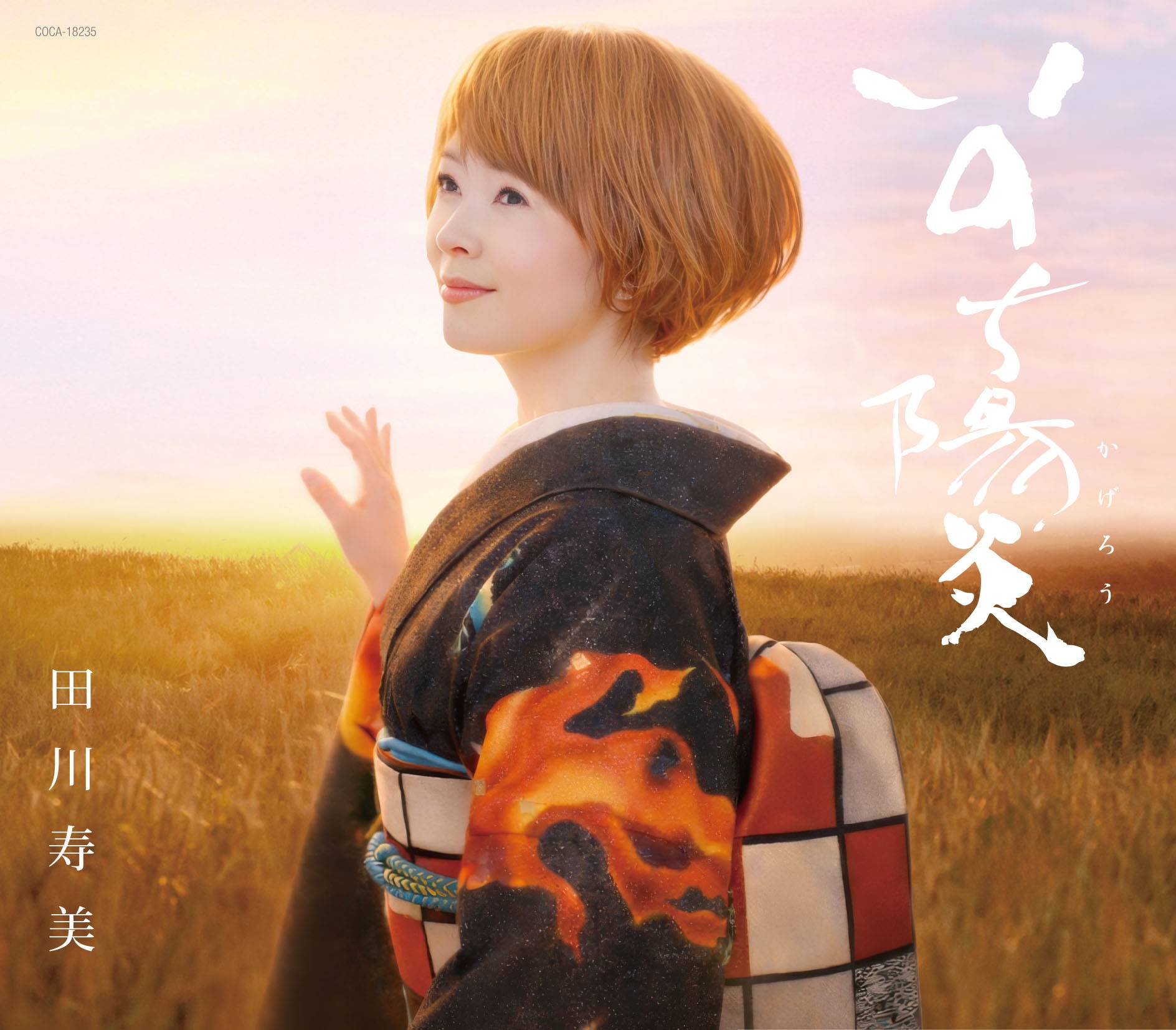 田川寿美、デビュー35周年のメインビジュアルをIKKOが手掛ける