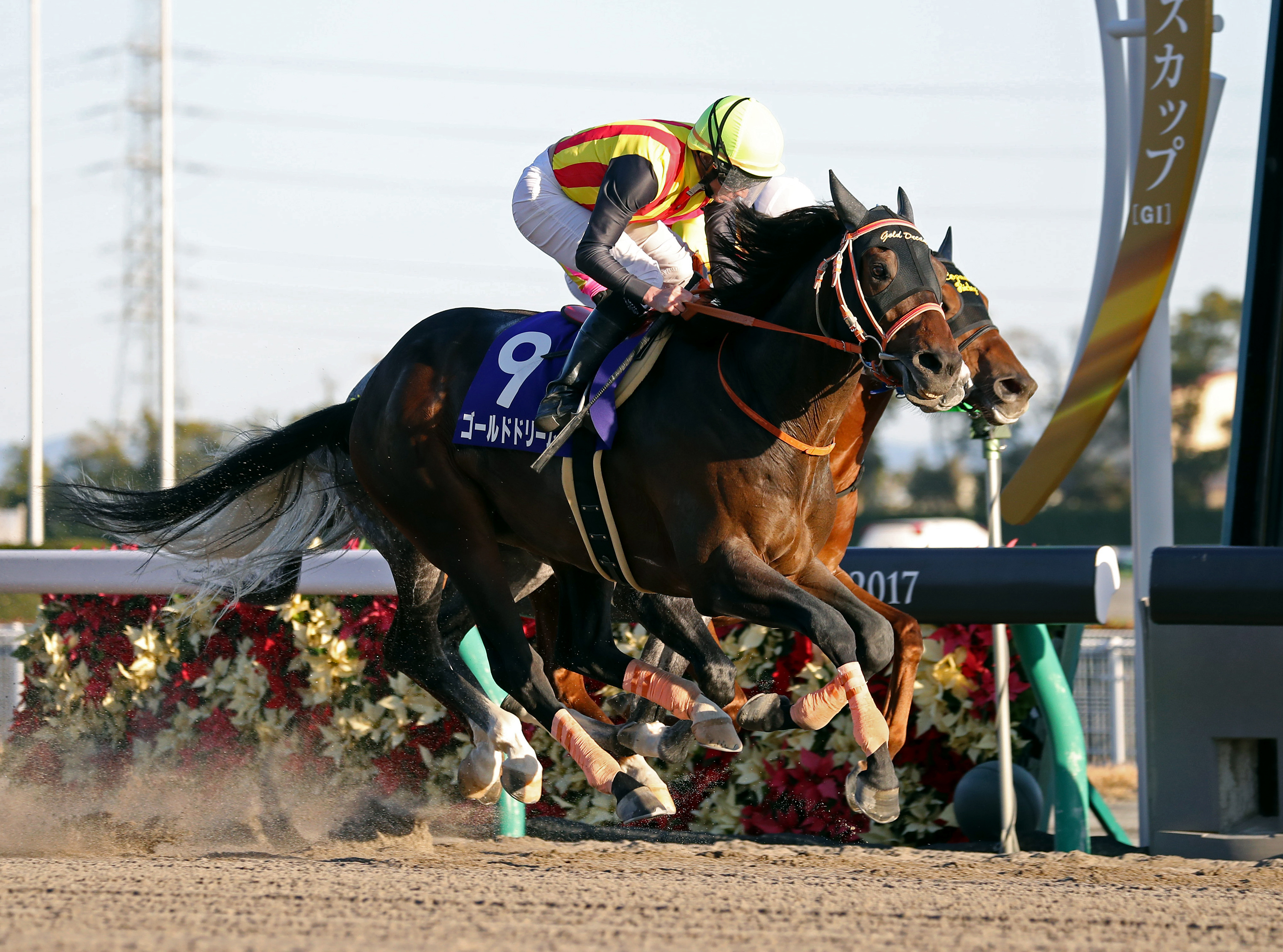 チャンピオンズC 細江純子の直前！GⅠパドック講座】ナルカミめりはり