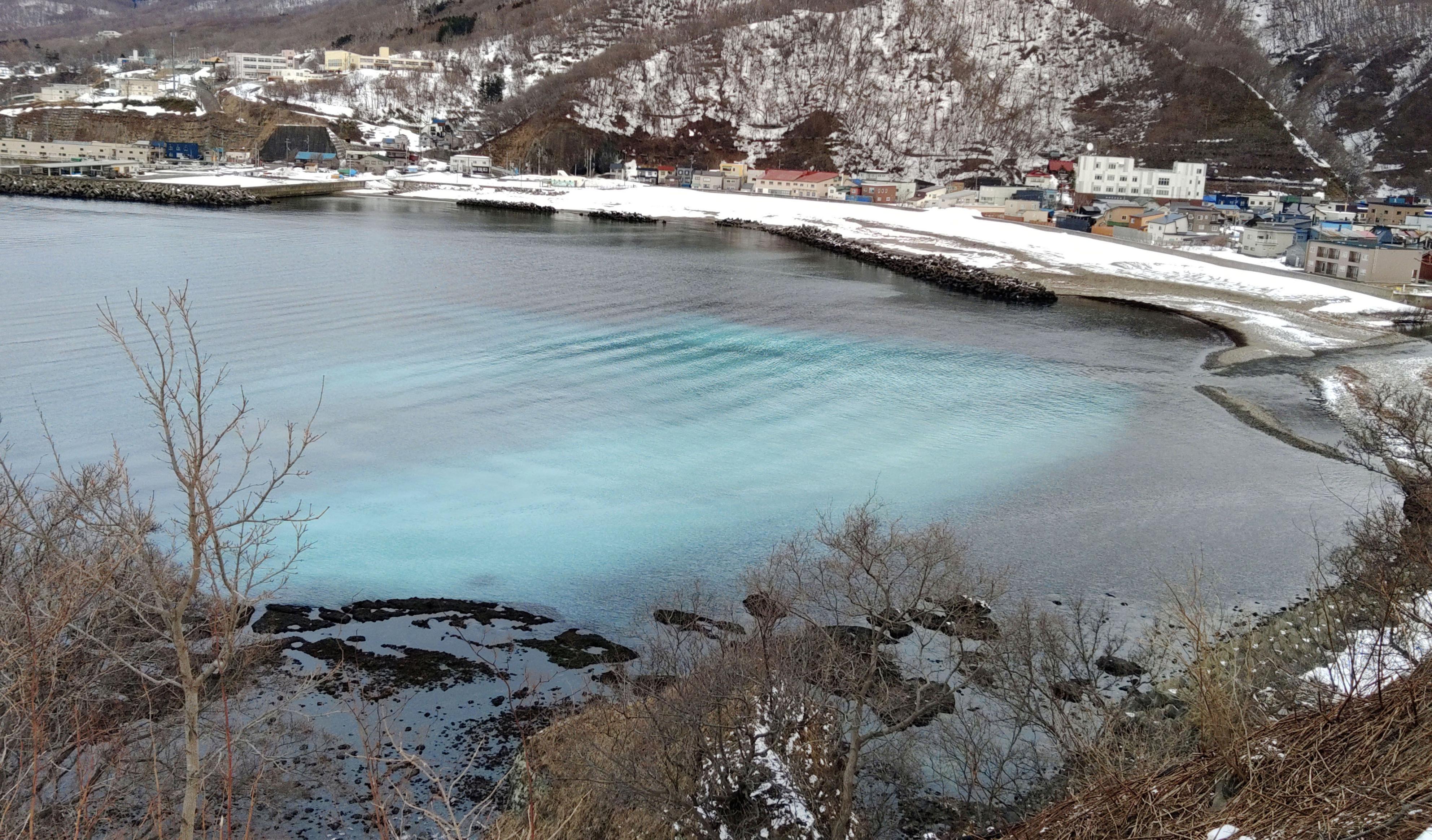夢の隊列　2005　LIVE in 北海道 春告魚が日本海を白く染め 約70年ぶりニシン「群来」 北海道・神恵内