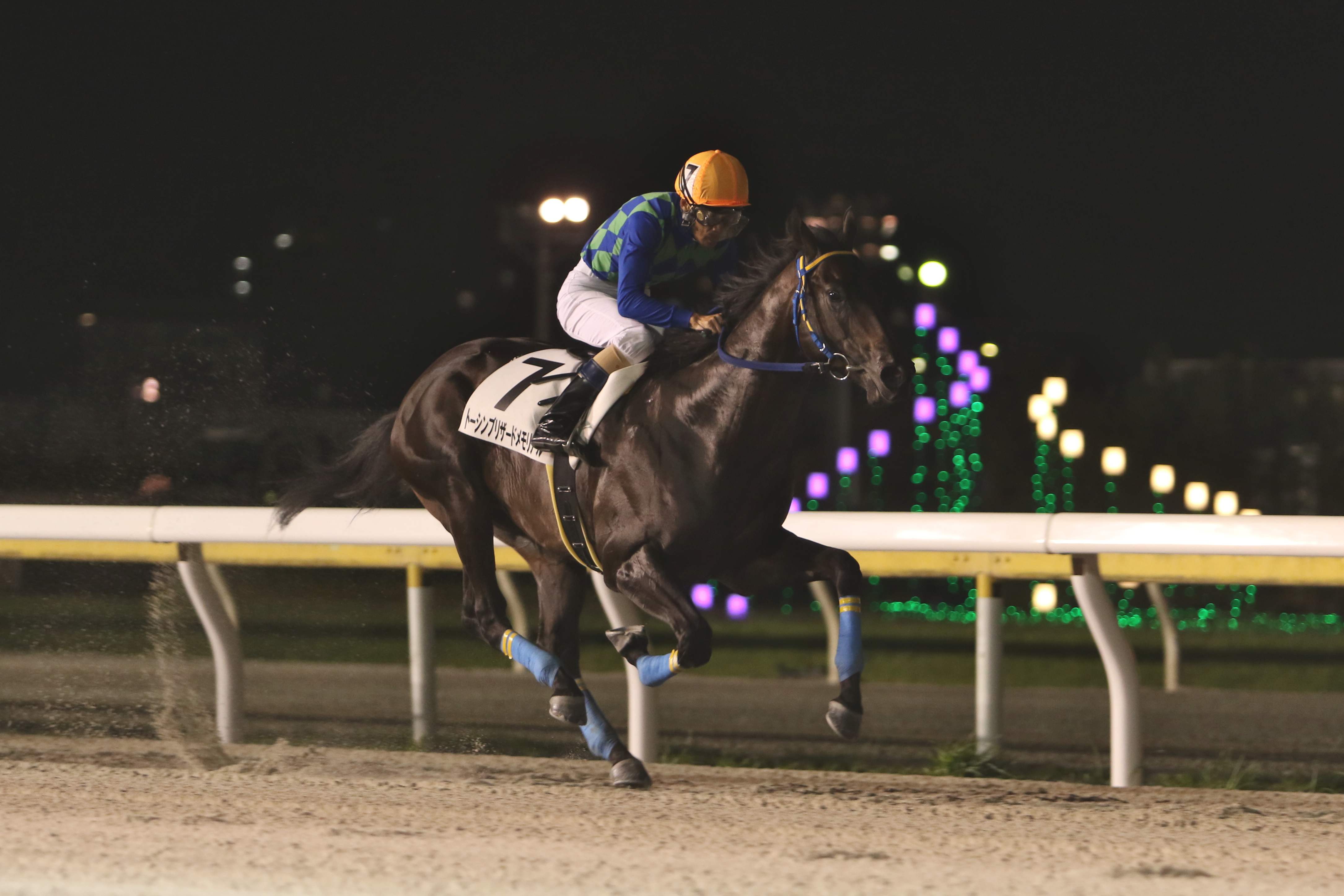 【平和賞】バハマフレイバー３連勝飾って初タイトルだ