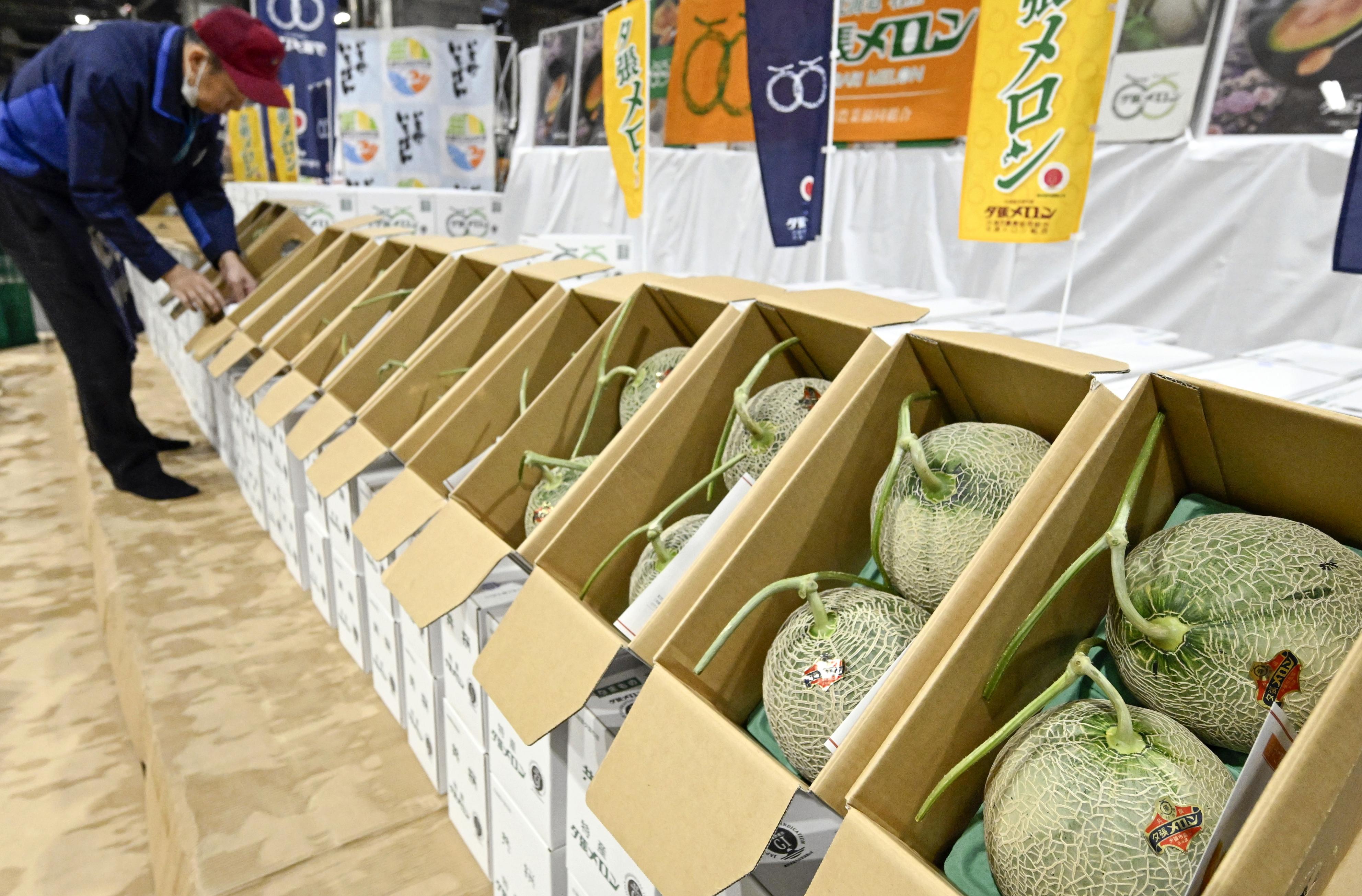 夕張メロン、過去最高額の2玉580万円で落札 札幌で初競り盛況 これから