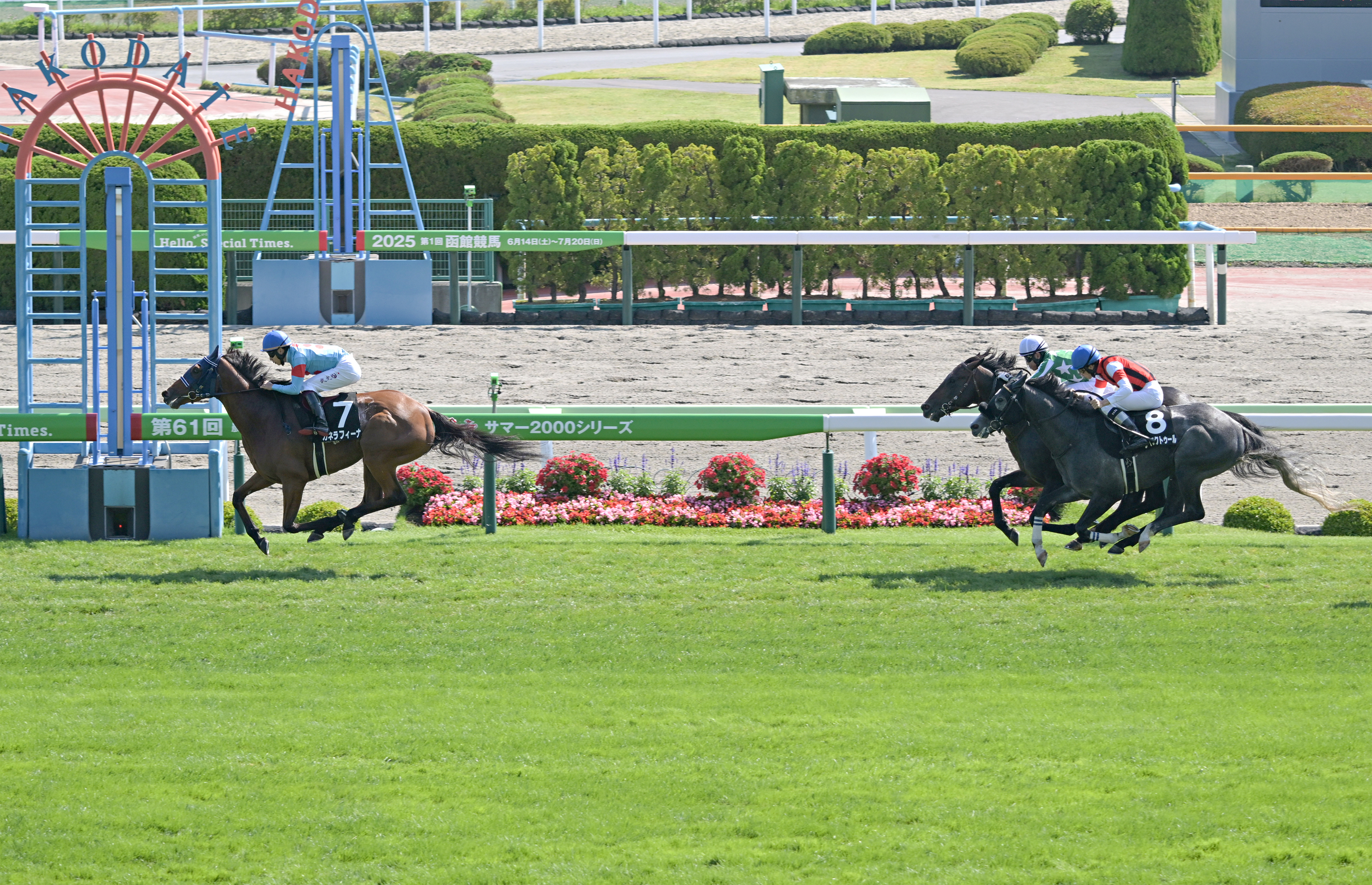 東西記者 今週の狙い馬】秋華賞はカネラフィーナ、ジョイフルニュース