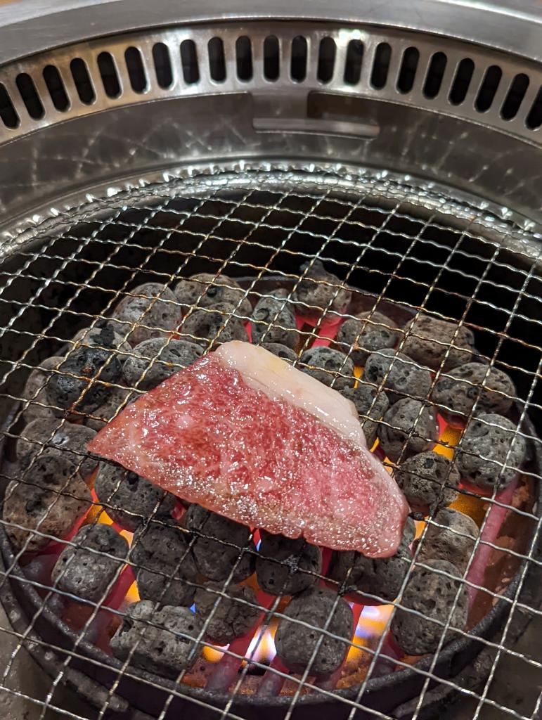 肉道場入門！】溶岩石系ロースターの焼肉店でおいしく味わうコツ 火力