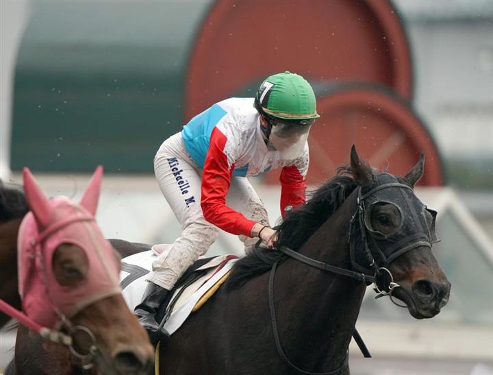 フォトギャラリー】美人すぎるミシェル騎手が話題！ ネット「川崎競馬