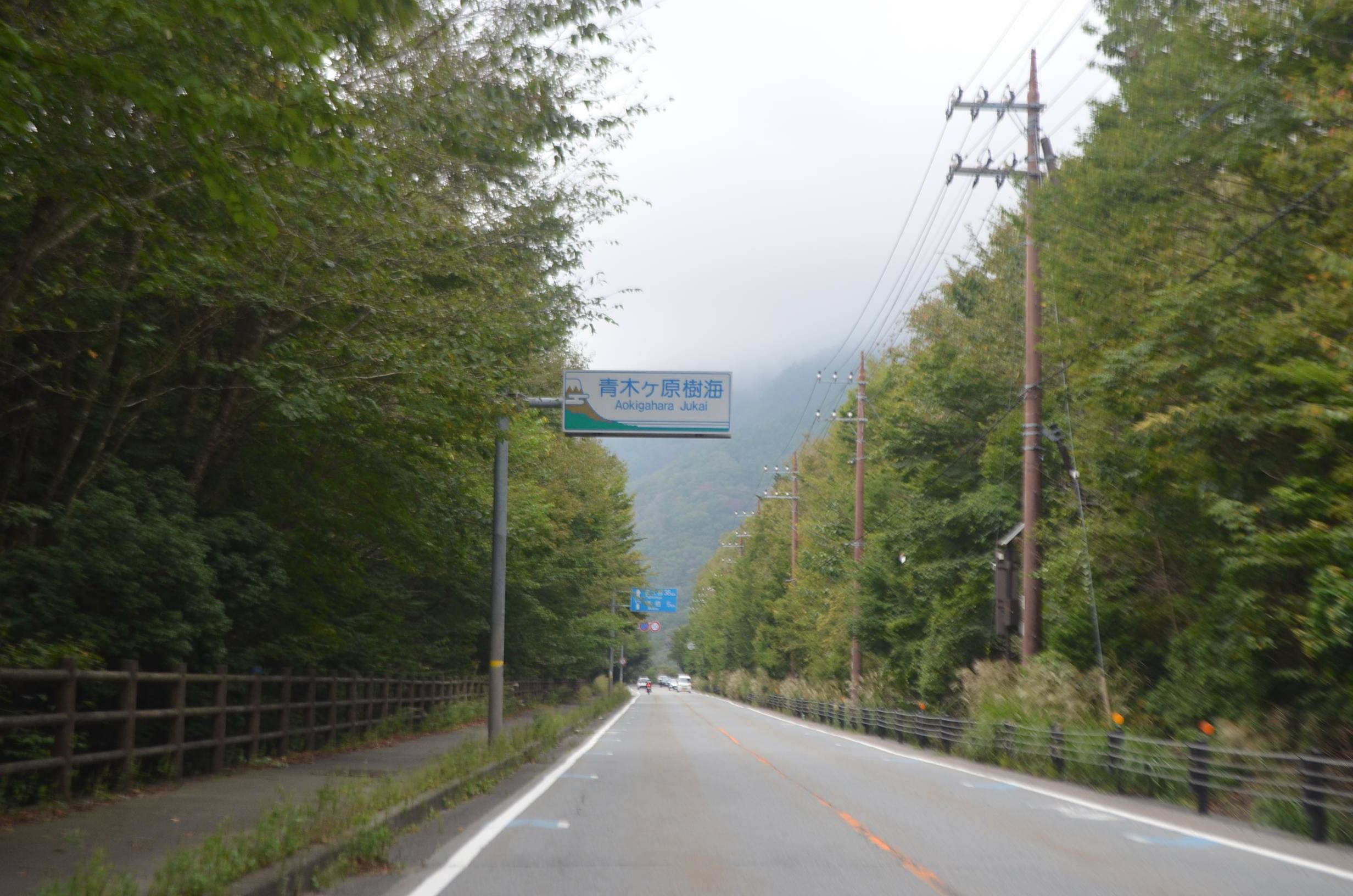 その他 の 危険 山梨 コレクション