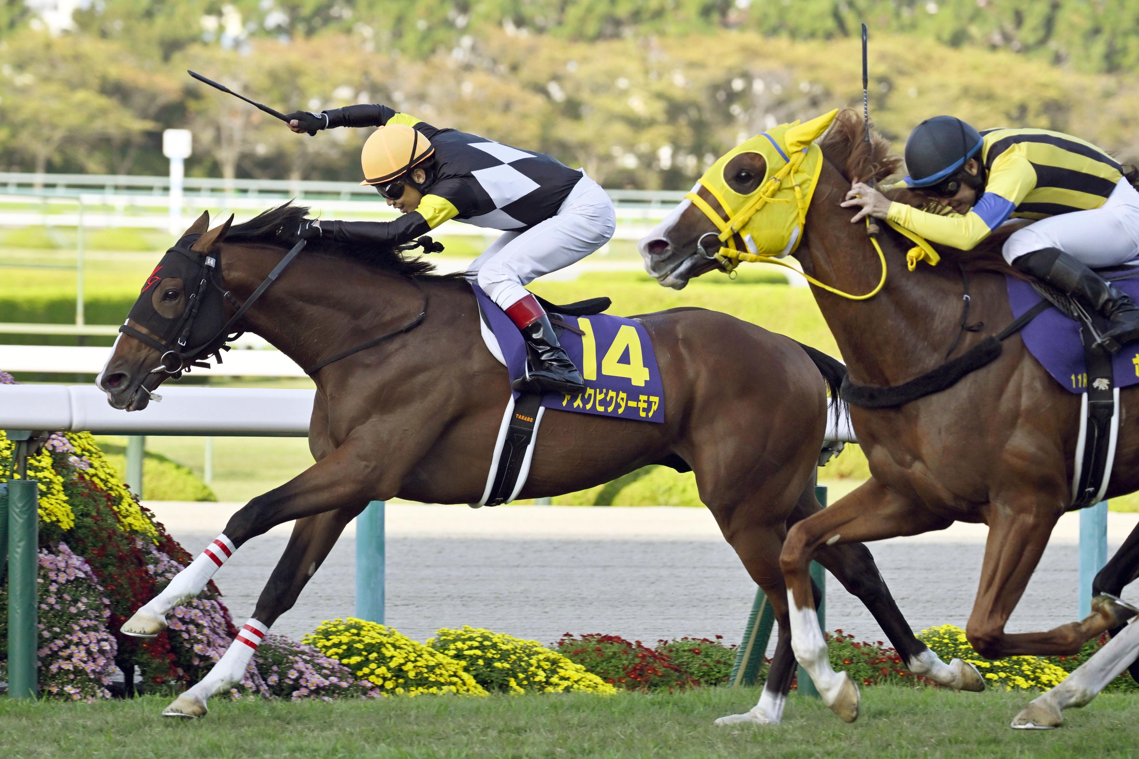 ◆　競馬　JRA　◆アスクビクターモア◆菊花賞　革キーホルダー　ホースクリップ◆ アスクビクターモアが優勝 競馬の菊花賞 - 産経ニュース