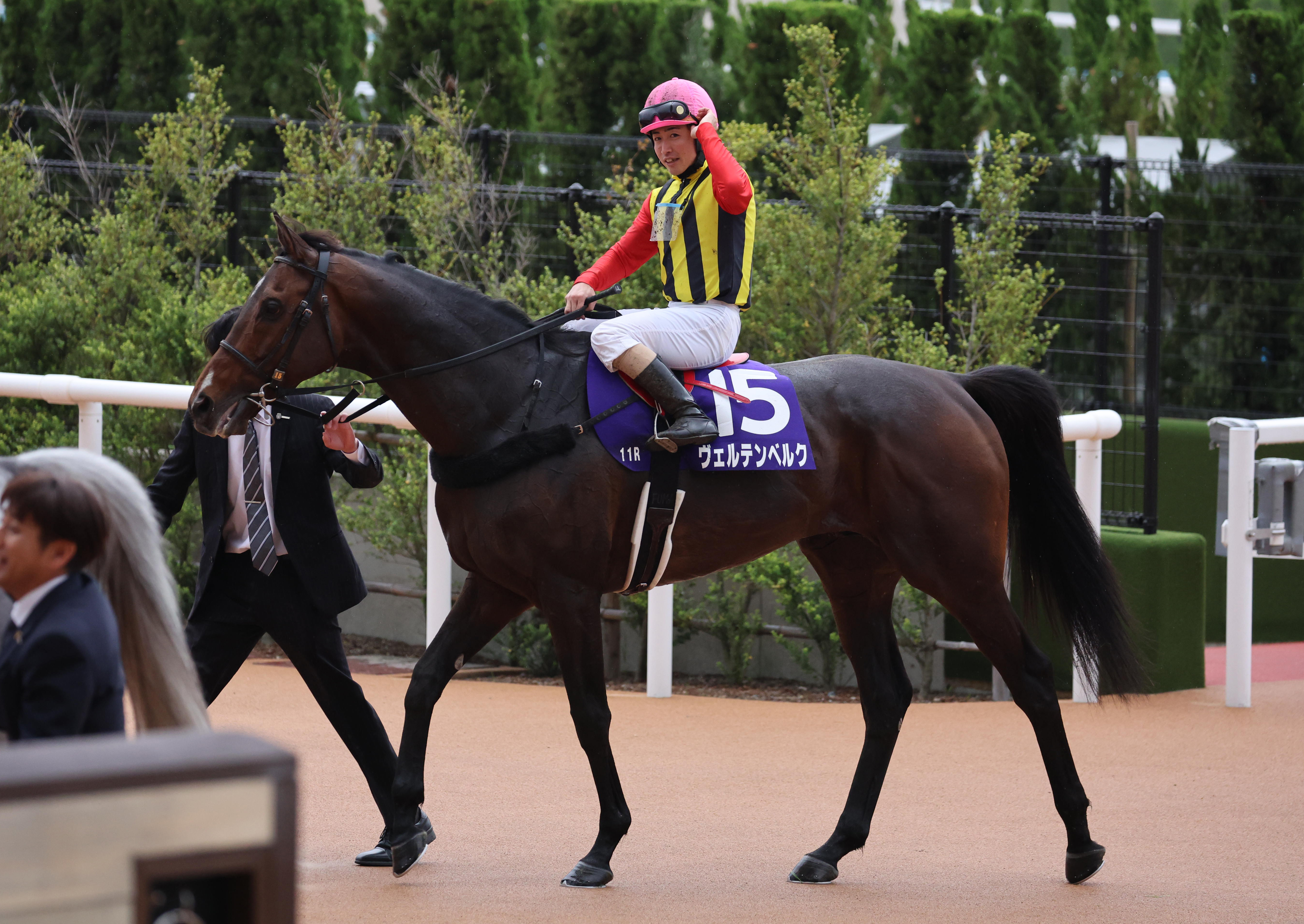 競馬2着馬物語 競馬2着馬物語 / G1レースSR研究会 - 紀伊國屋書店ウェブストア