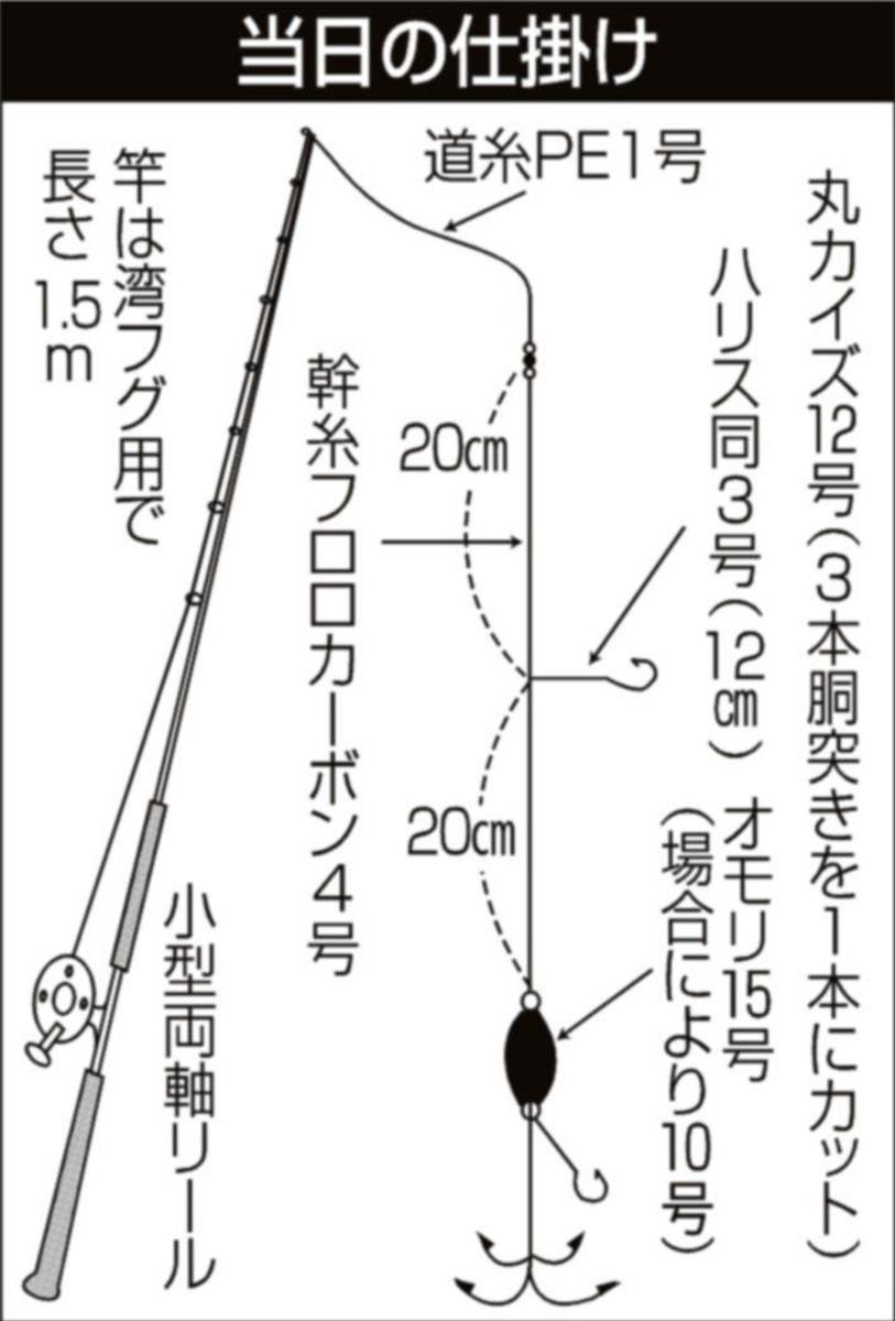 アカメフグがスタート 本格シーズンへ 短時間で良型主体に１１尾 東京湾 横浜沖 1 2ページ サンスポ