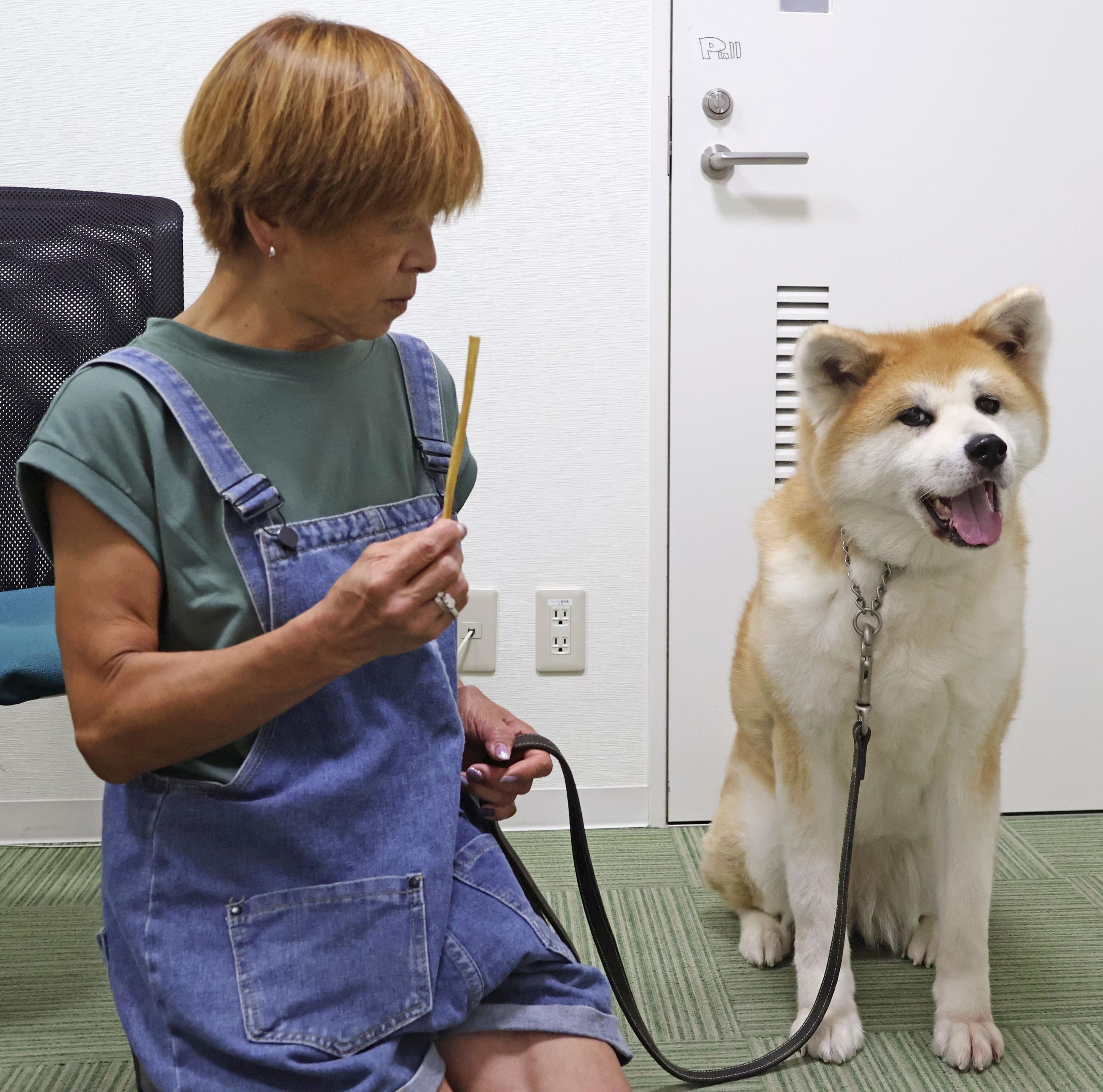座頭市物語 新連載 切り抜き グラビア 市＆秋田犬ハチ 天保 rakra 別冊「秋田犬と。」に能代幸寿荘が掲載されました - 秋田