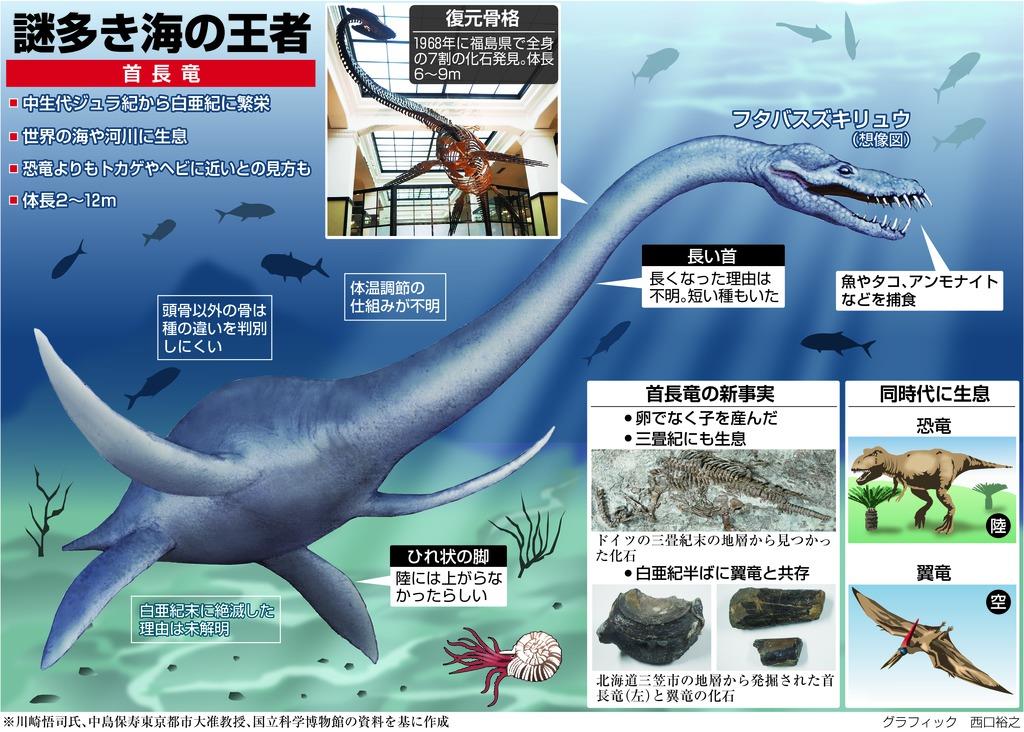 クローズアップ科学】太古の海を支配した首長竜 謎に包まれた生態に