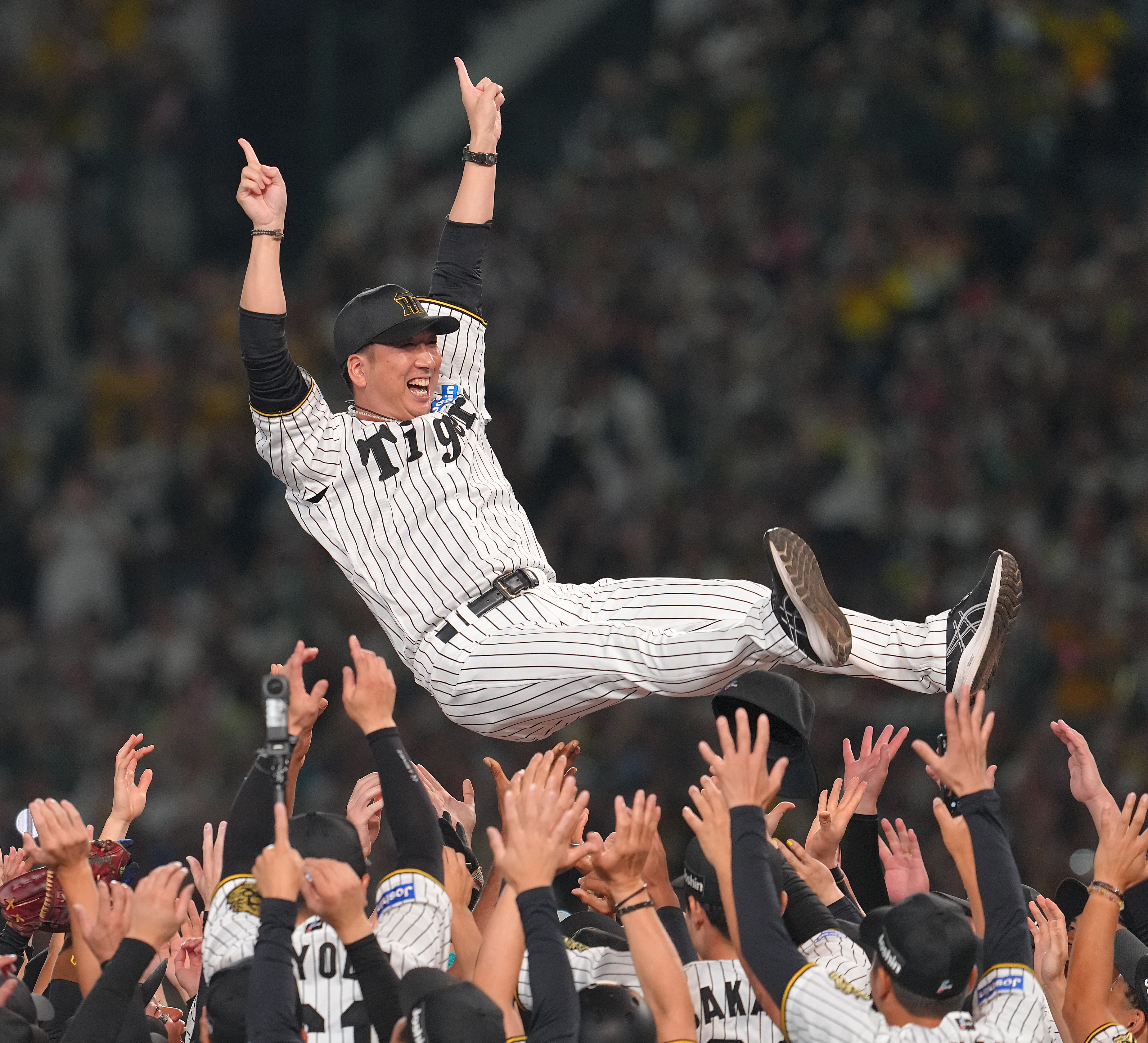 阪神タイガース 優勝記念 限定クリアファイル 藤川球児 胴上げ 値下可