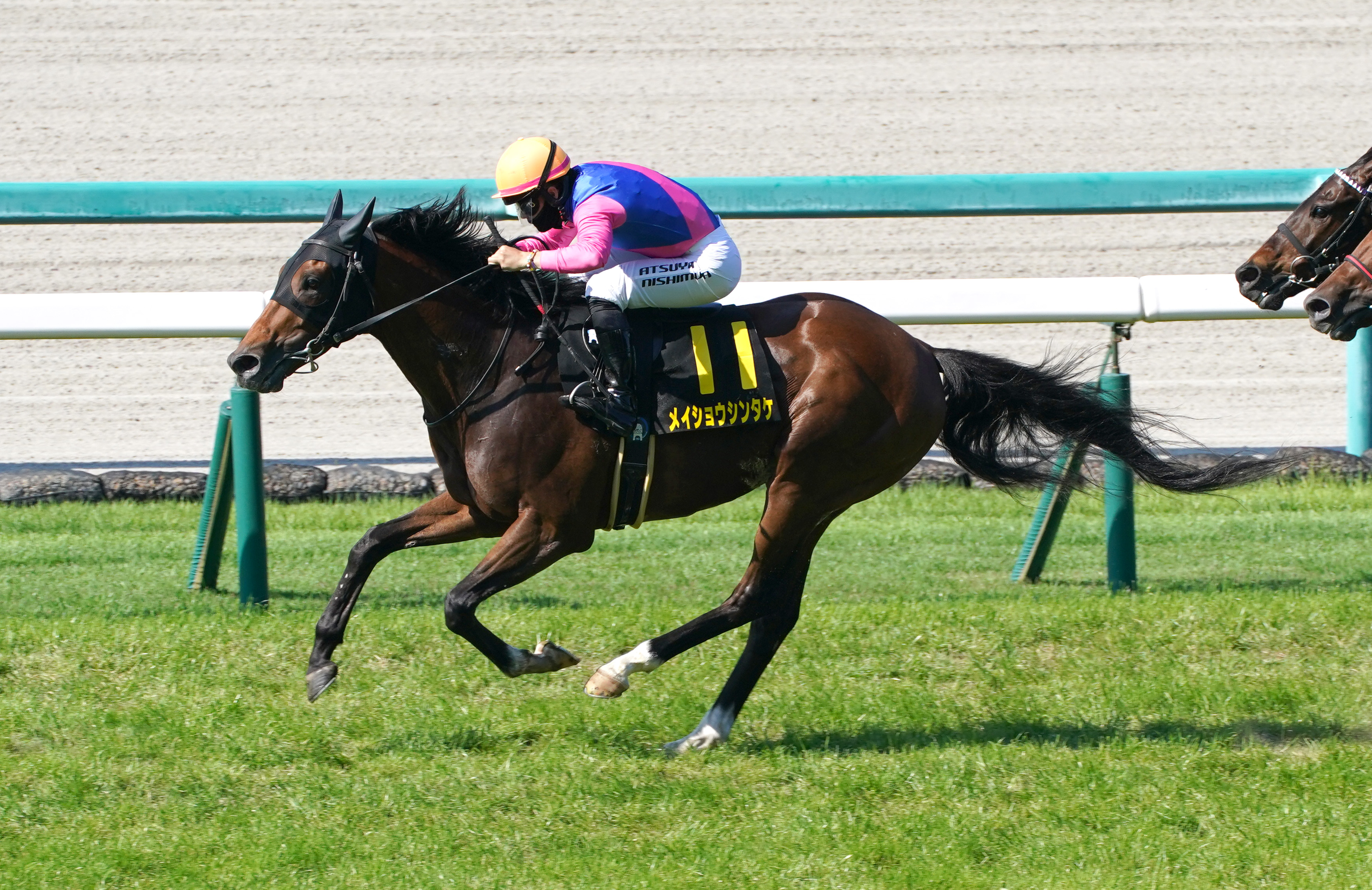 【京成杯ＡＨの注目点】サマーマイルシリーズの最終戦！今年の ...