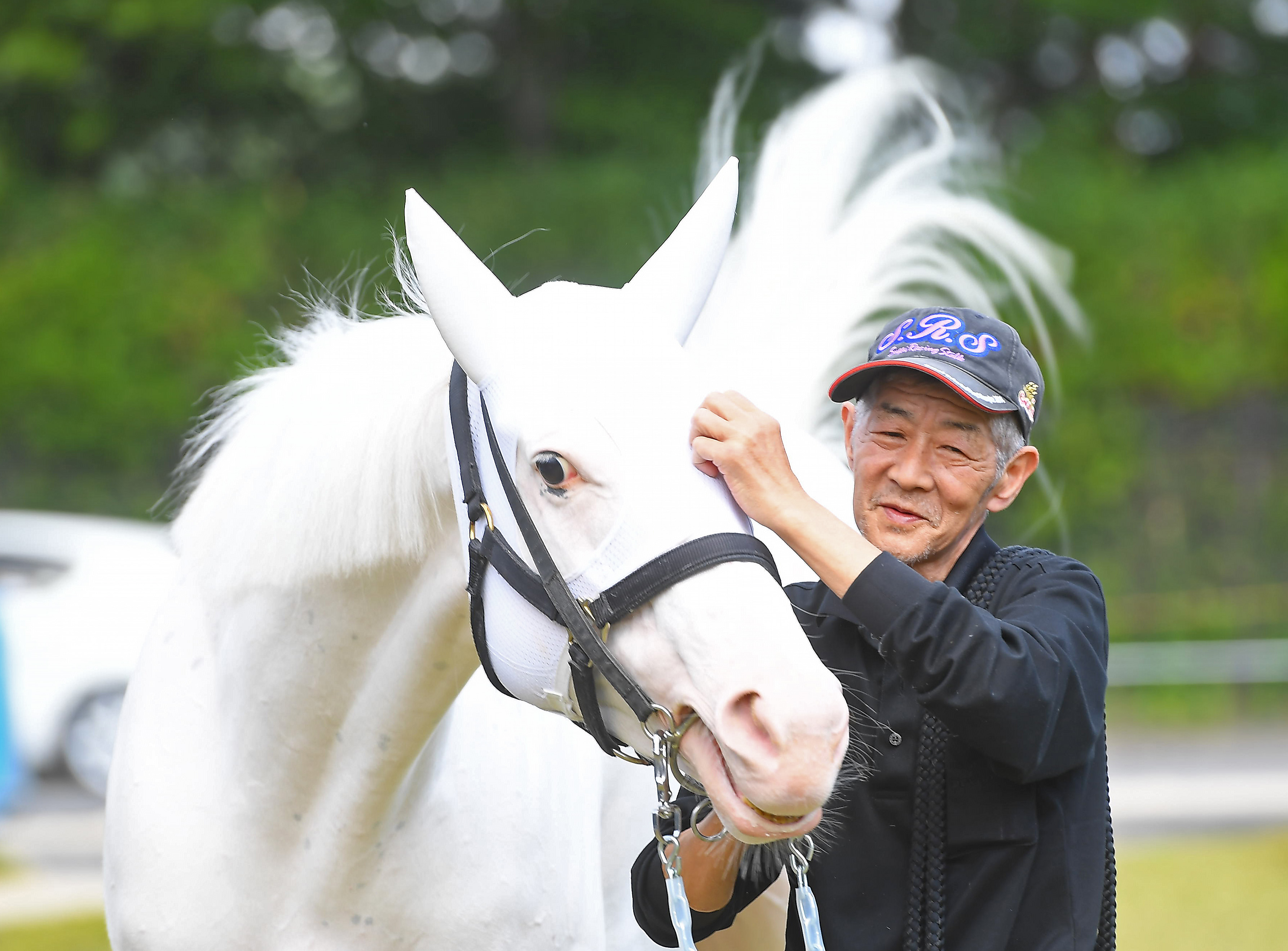 ソダシが競走馬登録抹消 生まれ故郷のノーザンファームで繁殖馬に