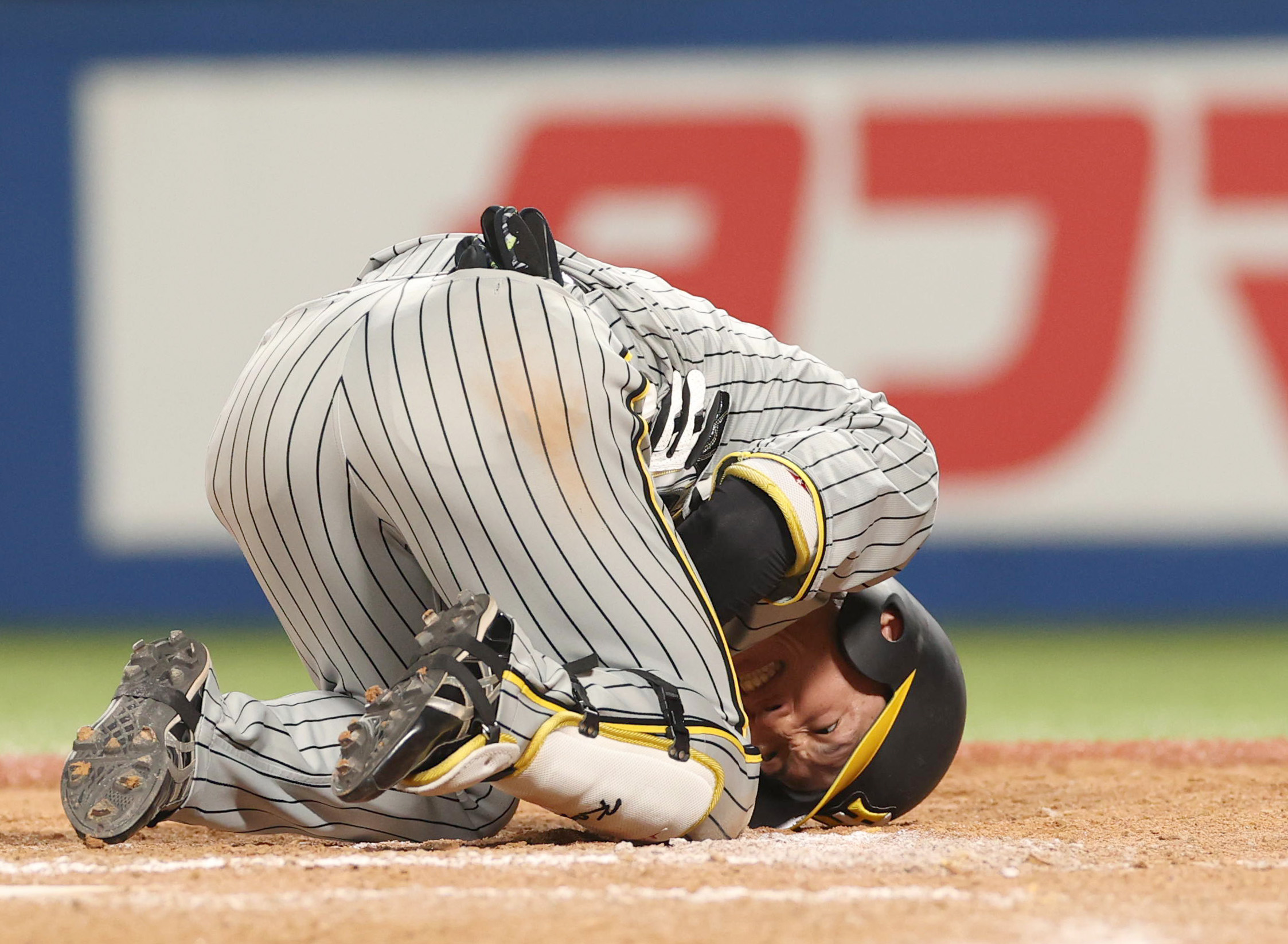 阪神・近本光司、また右脇腹死球で悶絶 怒りの岡田彰布監督