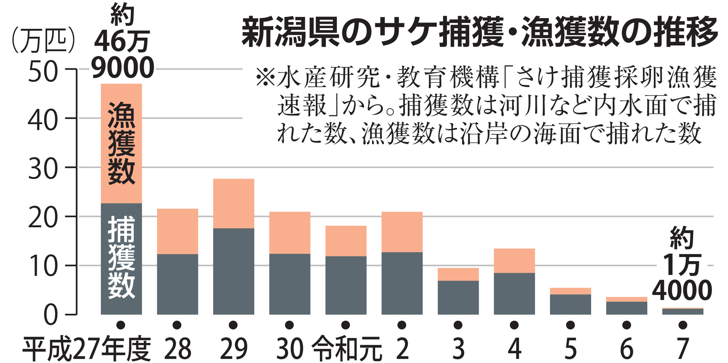 新潟のサケ激減 屈指の漁場では10年間で40分の1 「幻の魚に」 海水温