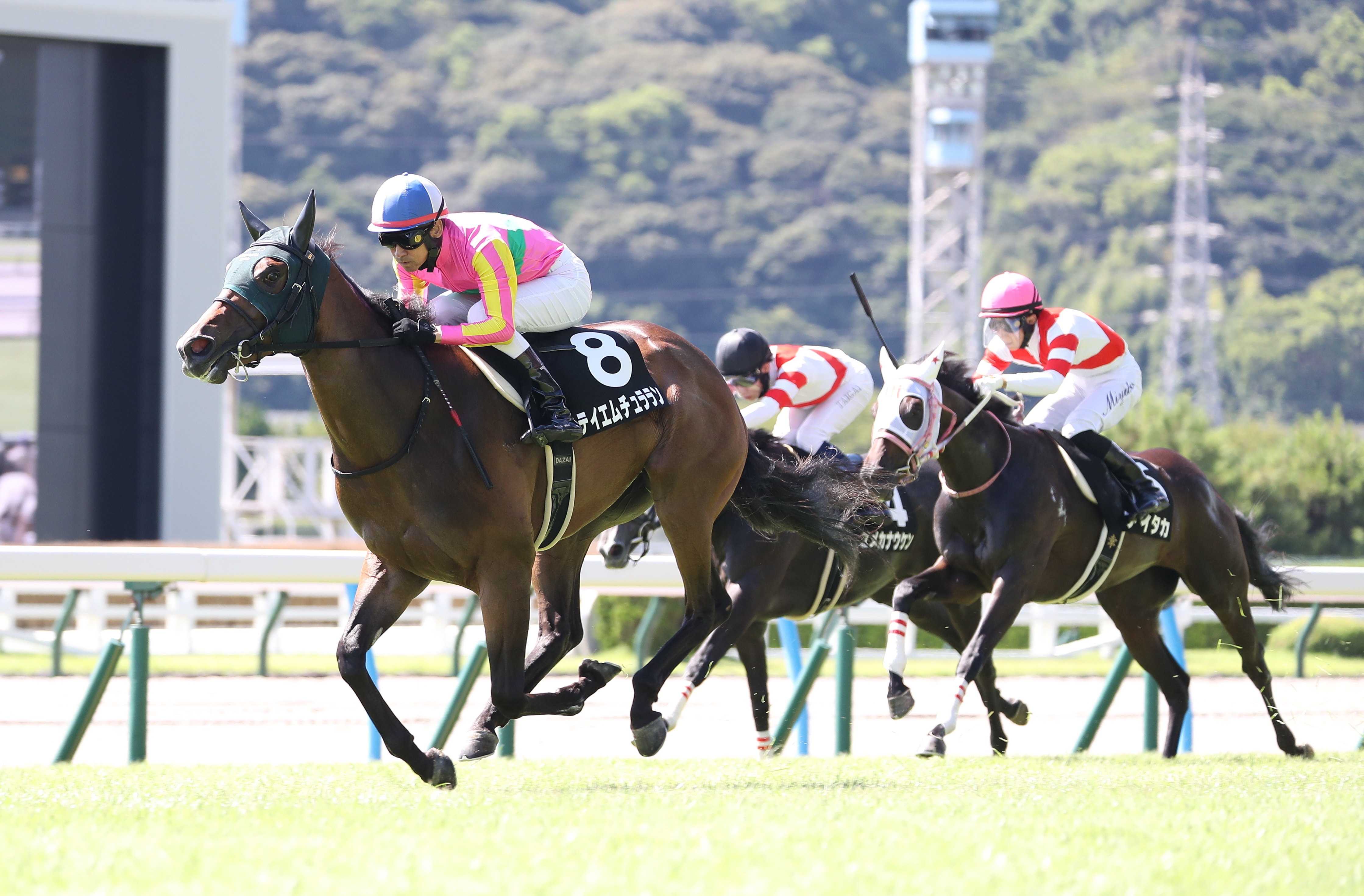 【ひまわり賞】テイエムチュラランが逃げ切り無傷２連勝！母 ...