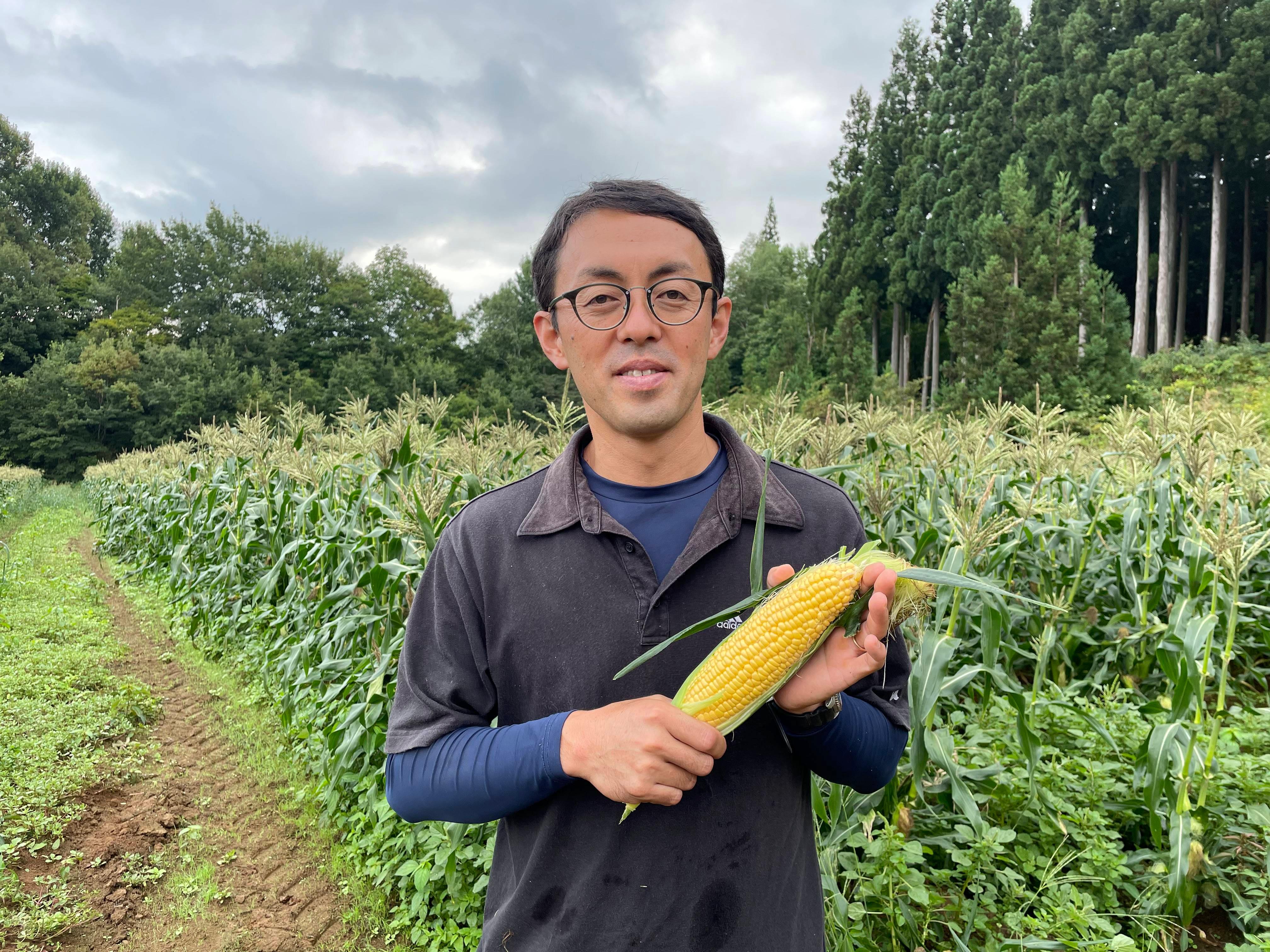知っ得News】糖度の高い「鬼もろこし」 東名高速の海老名SAで