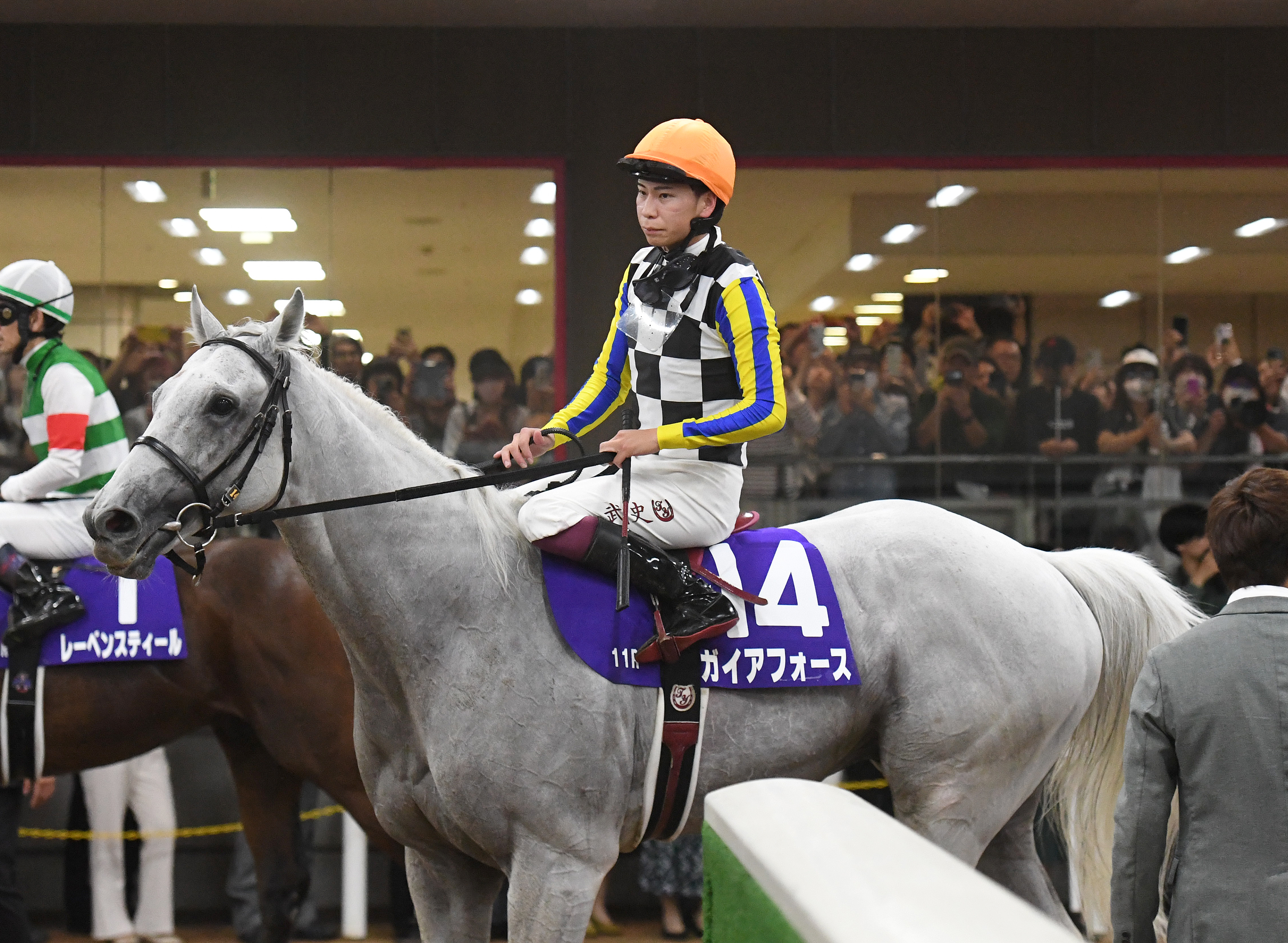安田記念2着のガイアフォースは放牧へ 杉山晴師「秋まで休む