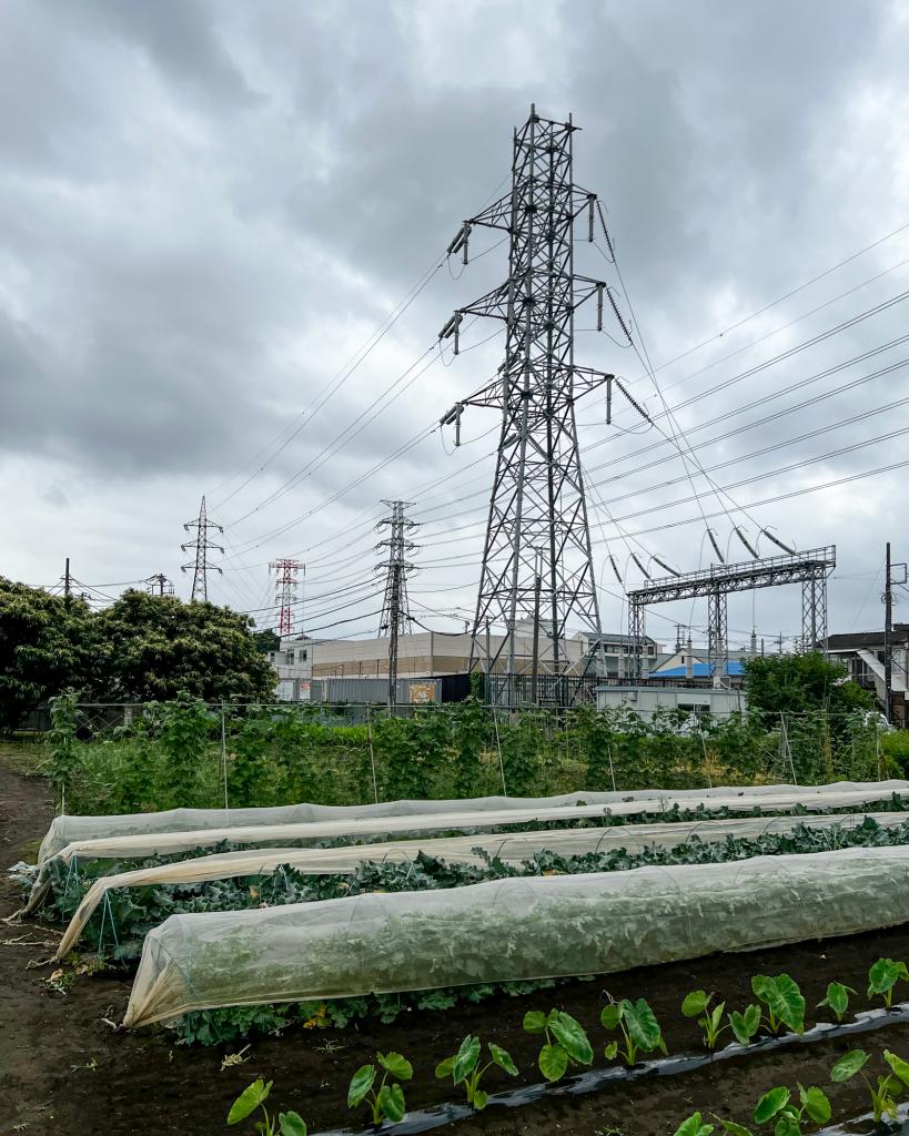 「送電線の先には…」冒険の思い出がシンクロする唯一無二の鉄塔