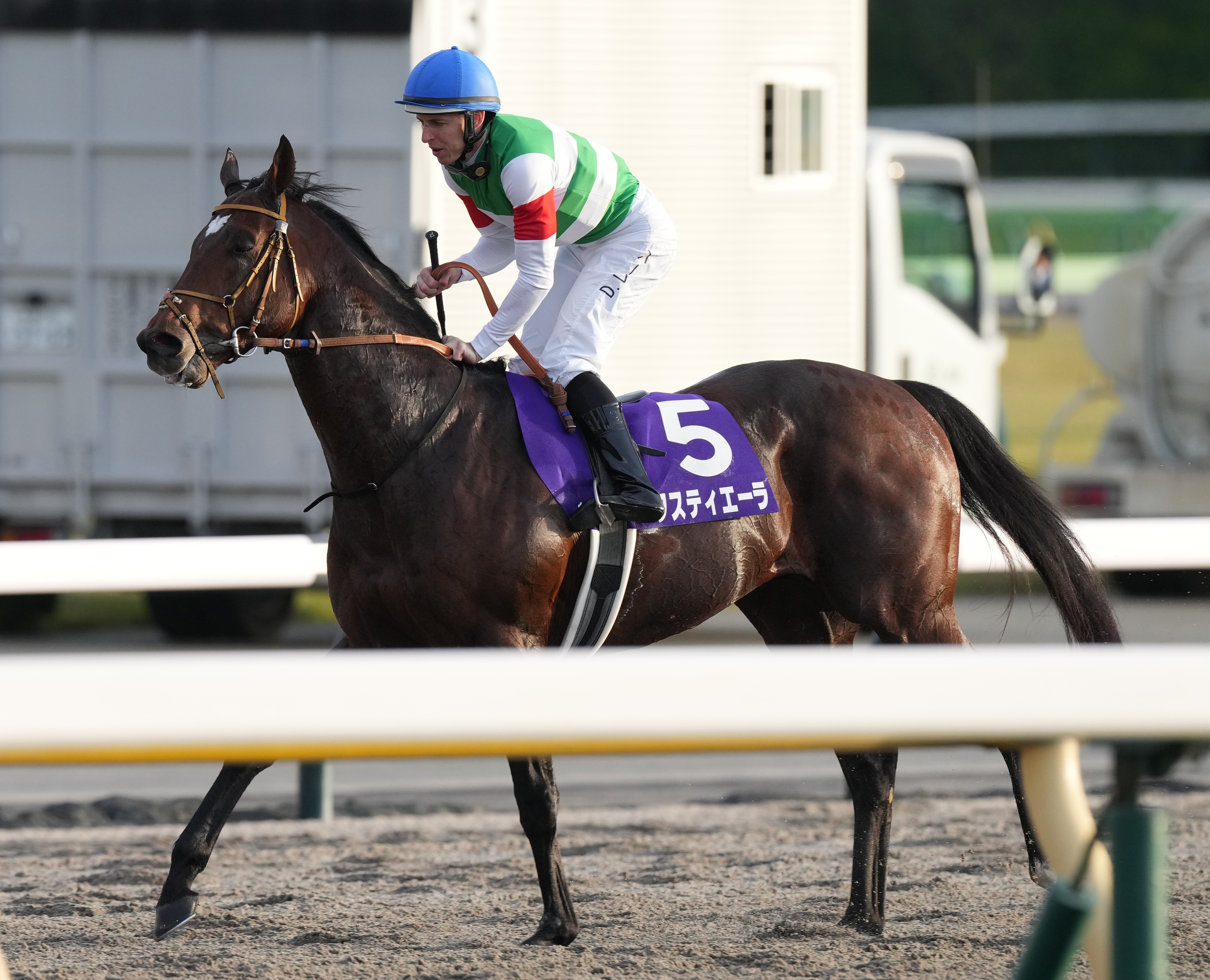 デンティス　A賞 QSVQAQPI4VNNRLXINTQB3BC3FQ.jpg