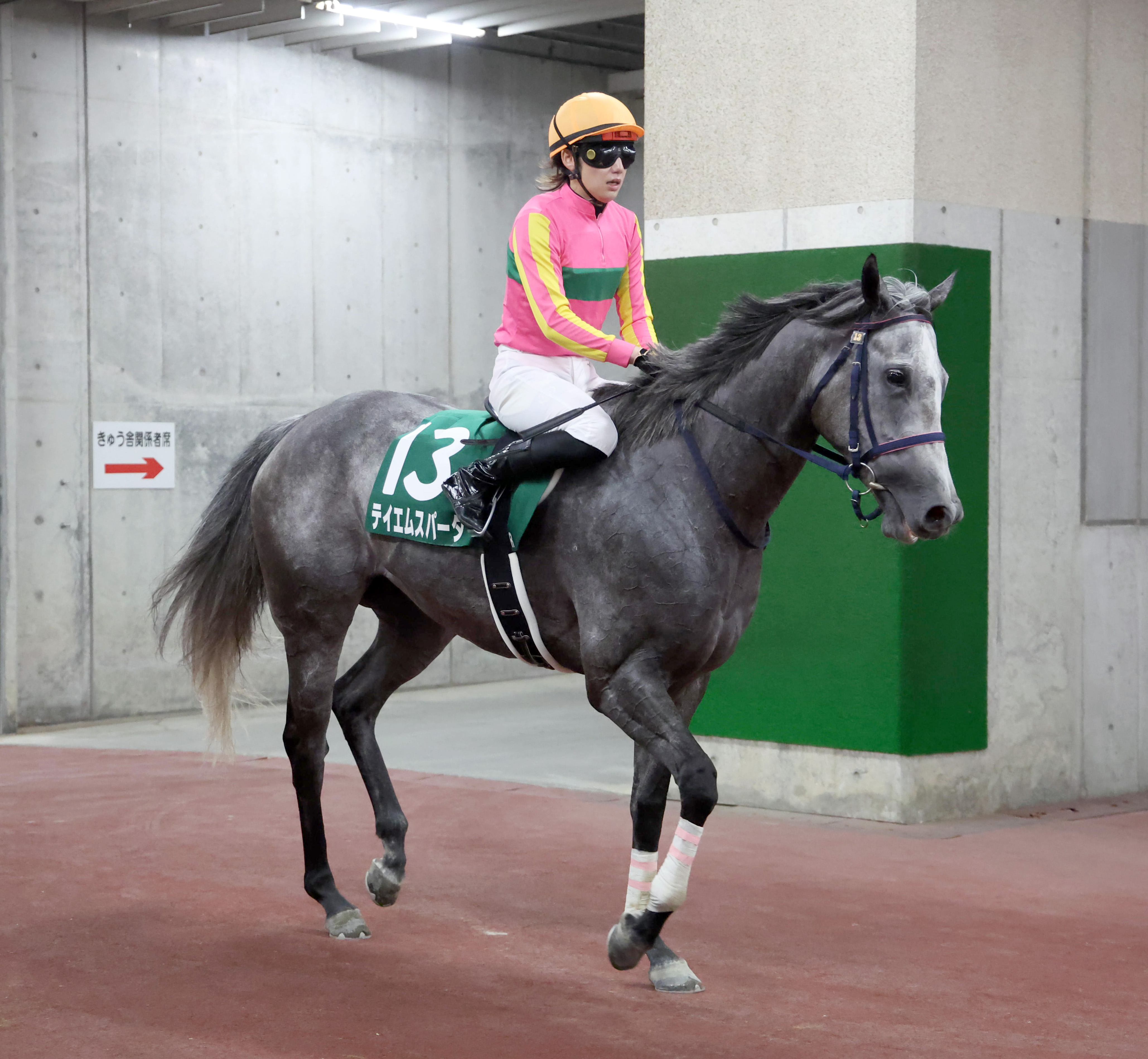 アイビスSD】1番人気テイエムスパーダは惜しくもクビ差2着 斎藤新騎手