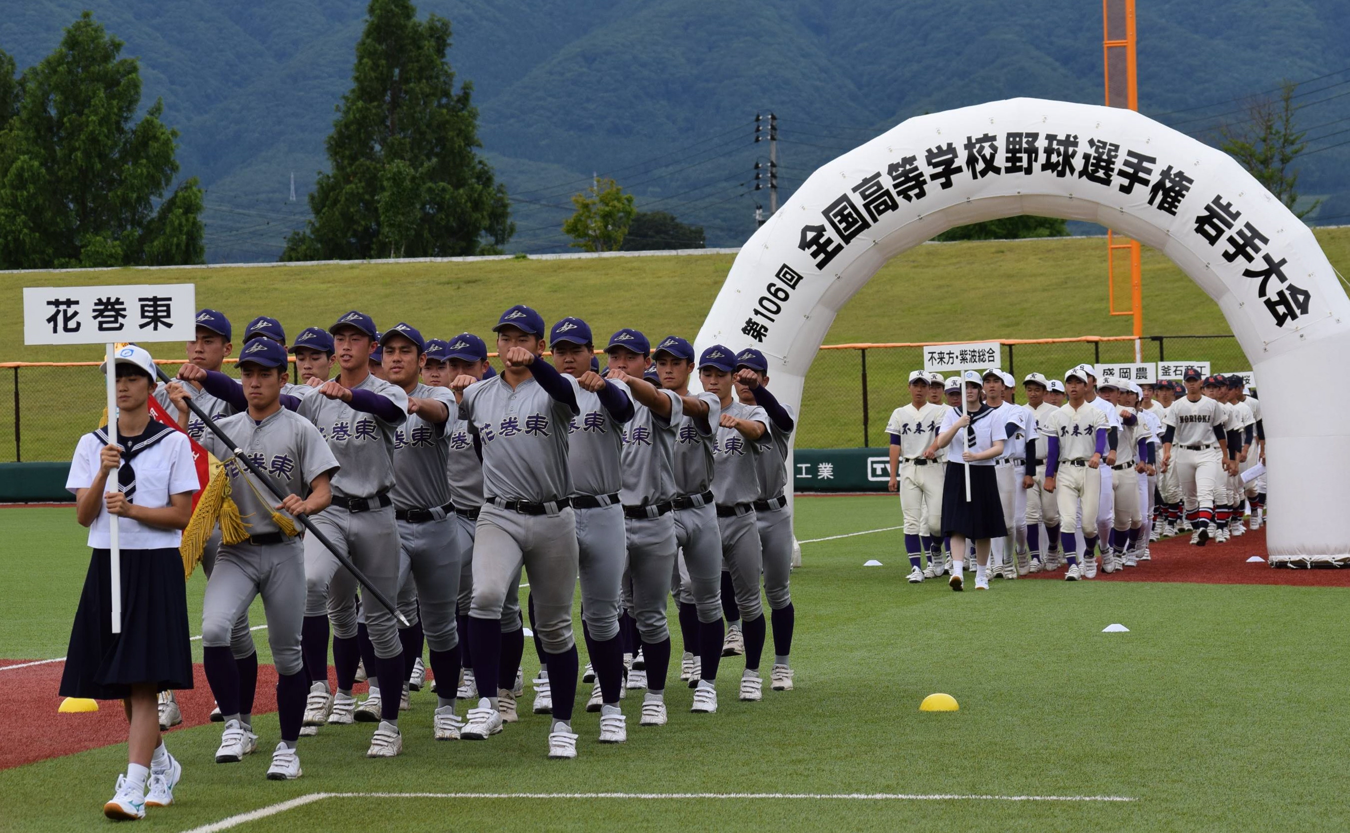 岩手 の 高校 野球