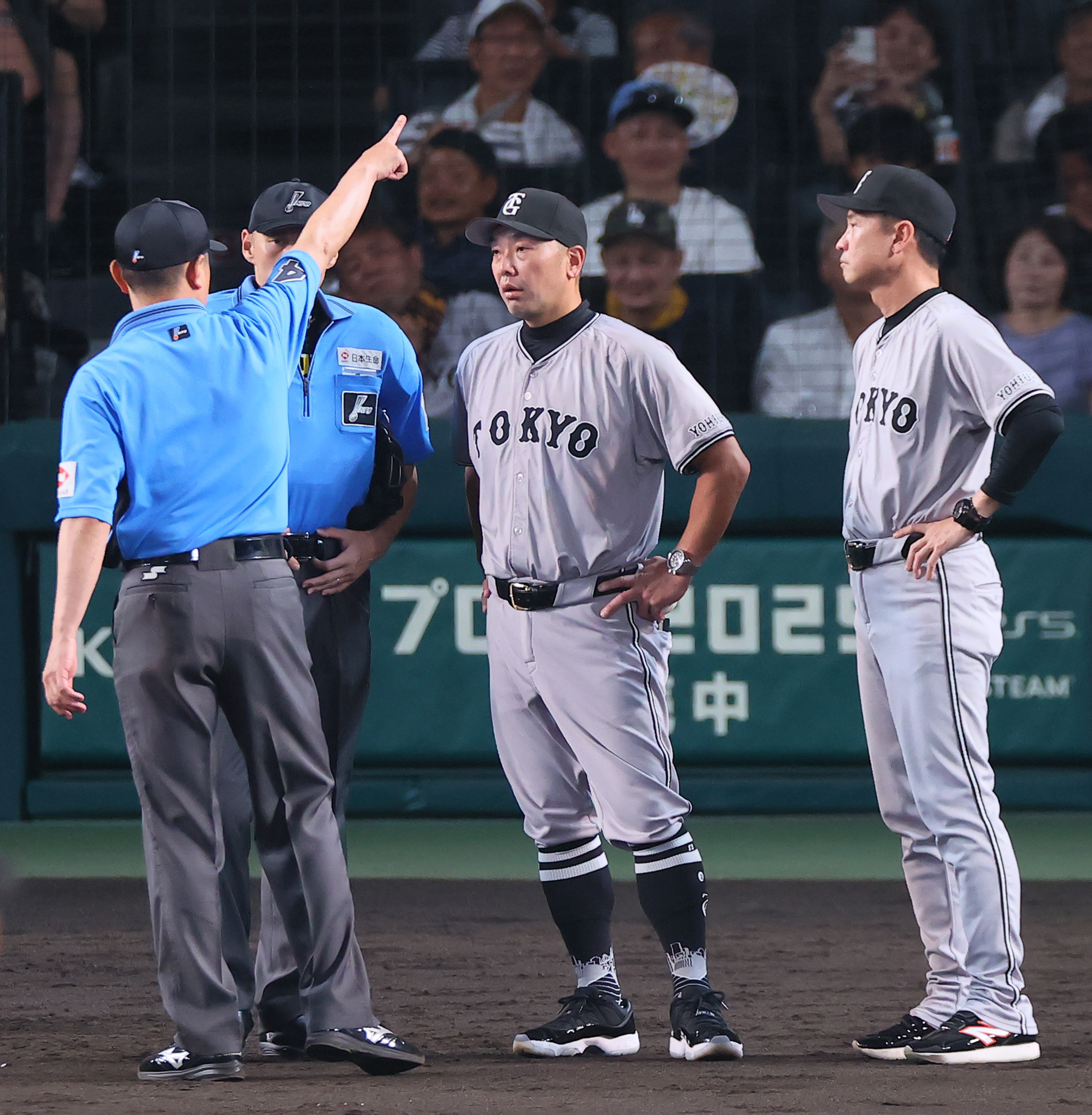 阿部慎之助 ジャイアンツ 公式球 NPB 引退試合 ボール ケース付き 阿部