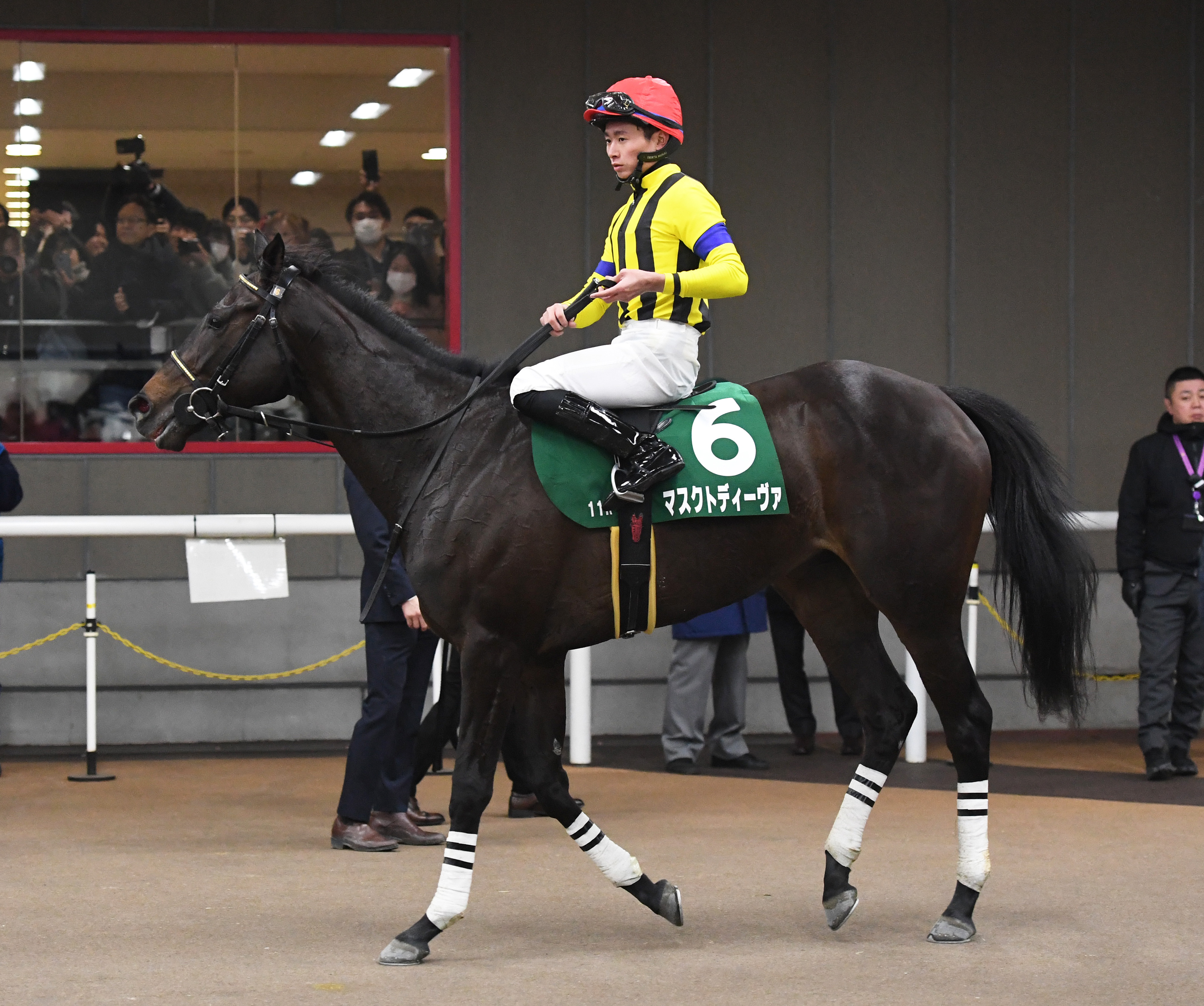 勝てない馬は、２着もない」 大川慶次郎さんの格言通り 井崎脩五郎のおもしろ競馬学 - 産経ニュース