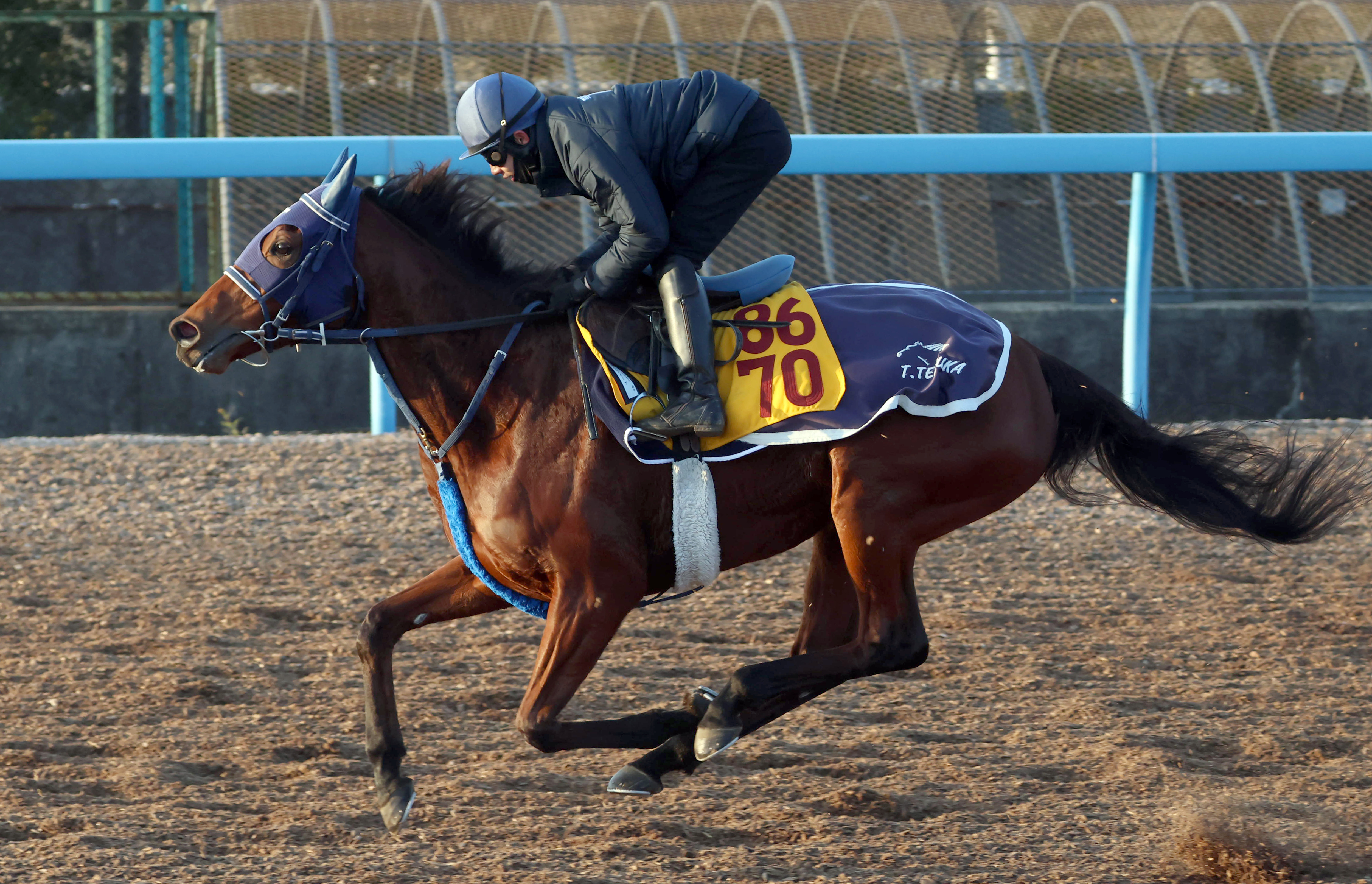 中山金杯 調教後馬体重】カネラフィーナは2キロ増 アンゴラブラックは