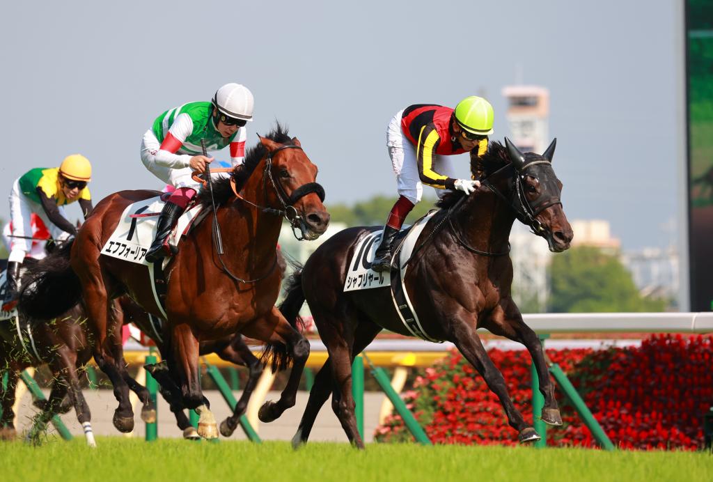 天皇賞 秋 国内外のｇ 馬５頭が参戦 中距離の最高峰レースの注目点 サンスポzbat