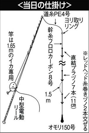 ヤリイカ４１尾 パラソル級ラッシュ 南房 白浜沖は爆ノリ予感 1 2ページ サンスポ