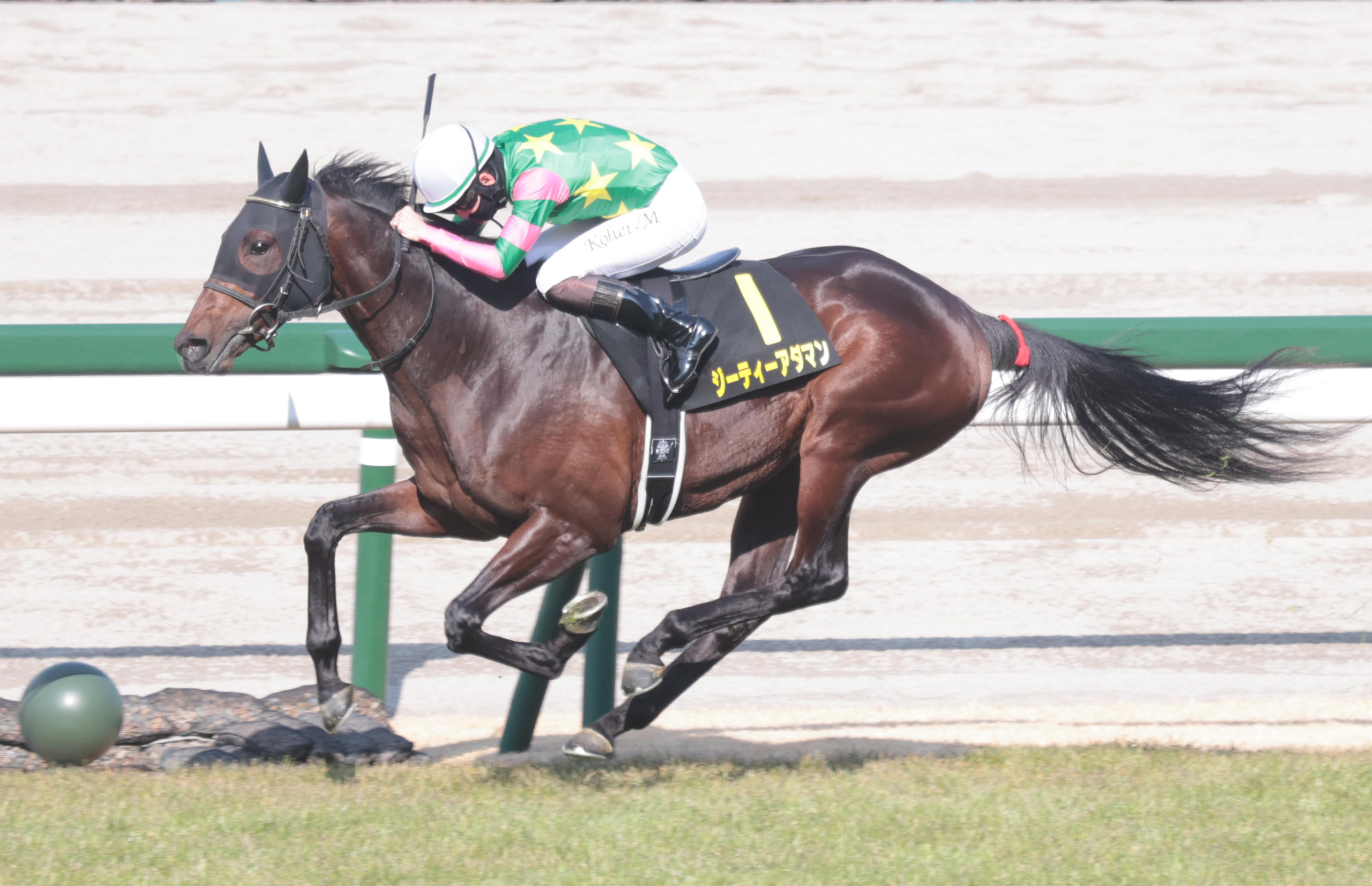 すみれS】ジーティーアダマンが押し切りデビュー2連勝！ 松山弘平騎手