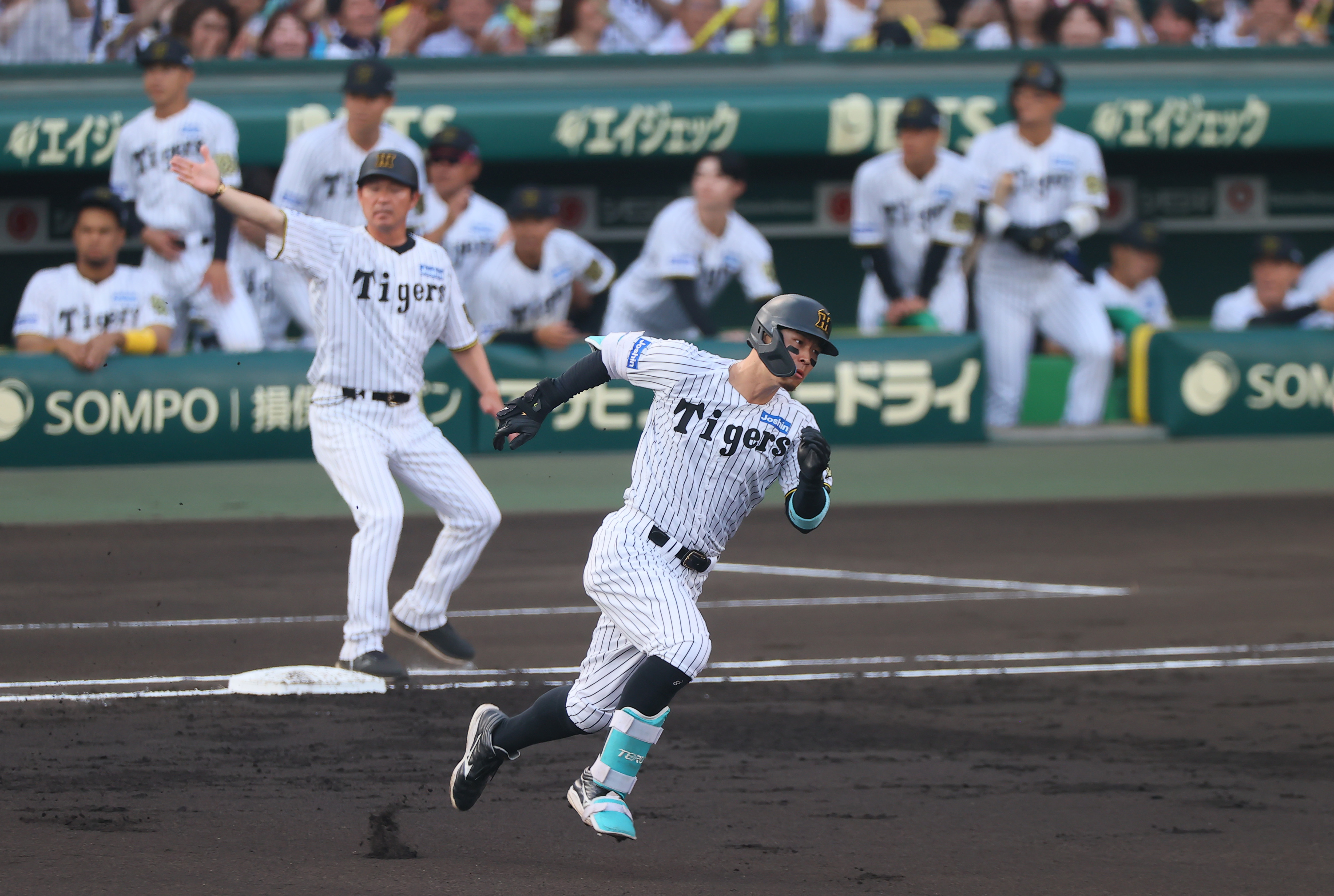 試合結果】阪神3連勝！ 球宴選出の佐藤輝明、森下翔太がそろってタイム
