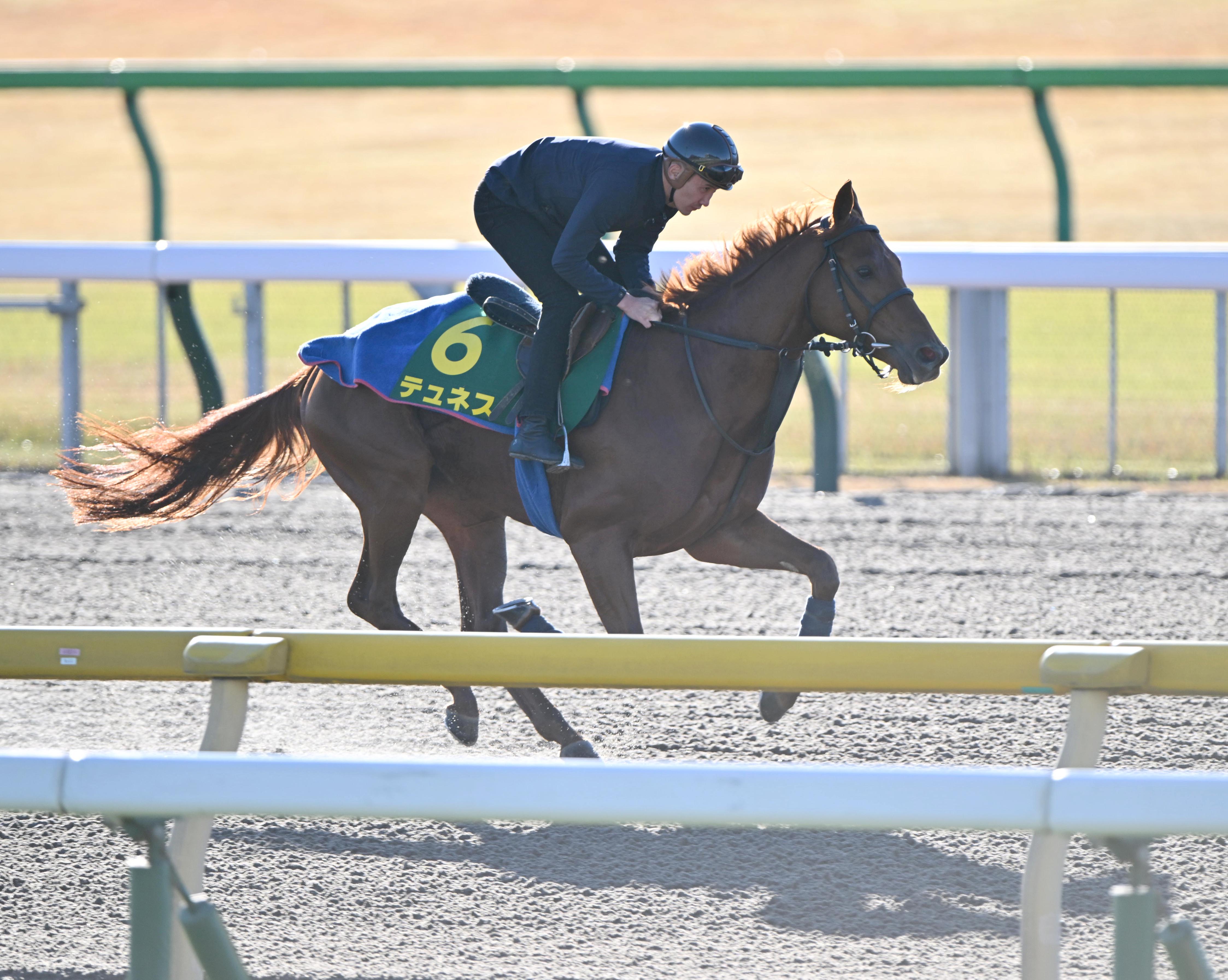 井崎脩五郎のおもしろ競馬学】厩務員を泣かせた外国馬 - 産経ニュース