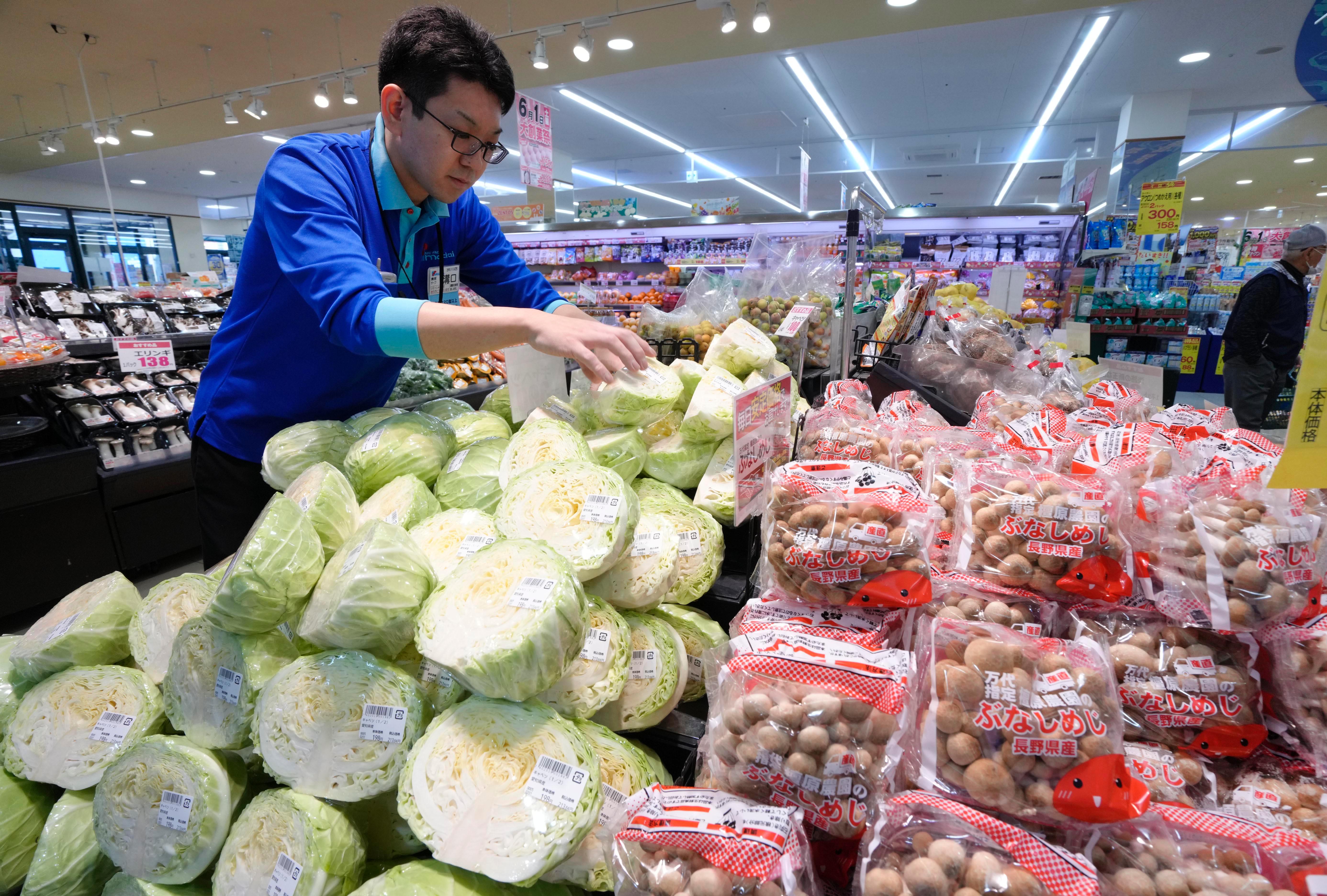 キャベツ価格急騰、平年の3・4倍に「おかわり自由のとんかつ屋さんは