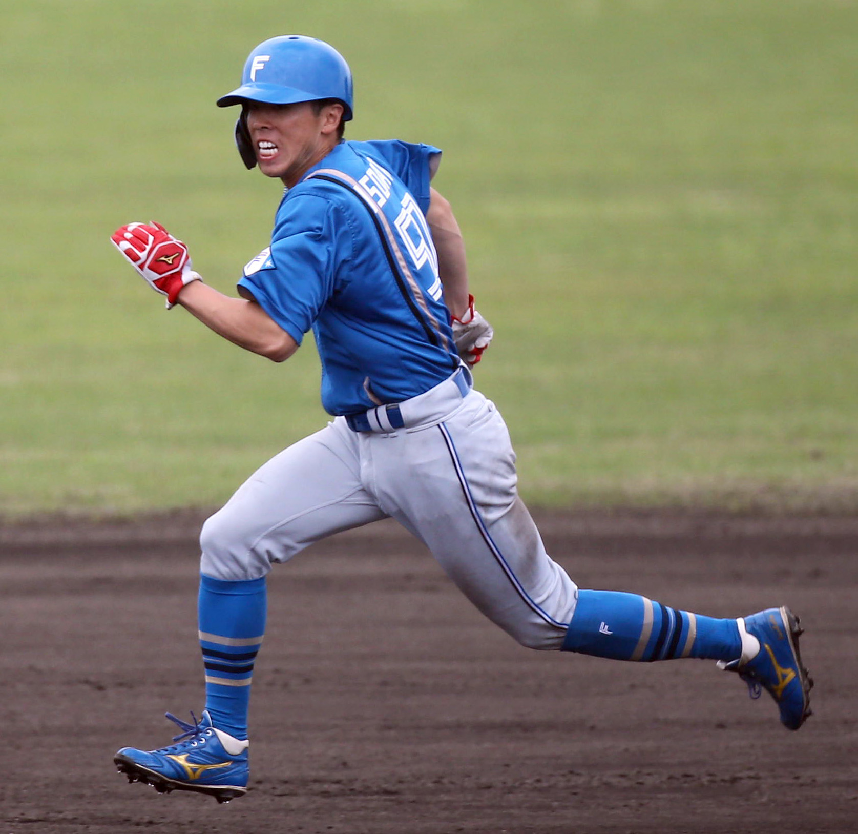 北海道日本ハムファイターズ 五十幡亮汰 直筆サイン色紙 - 通販