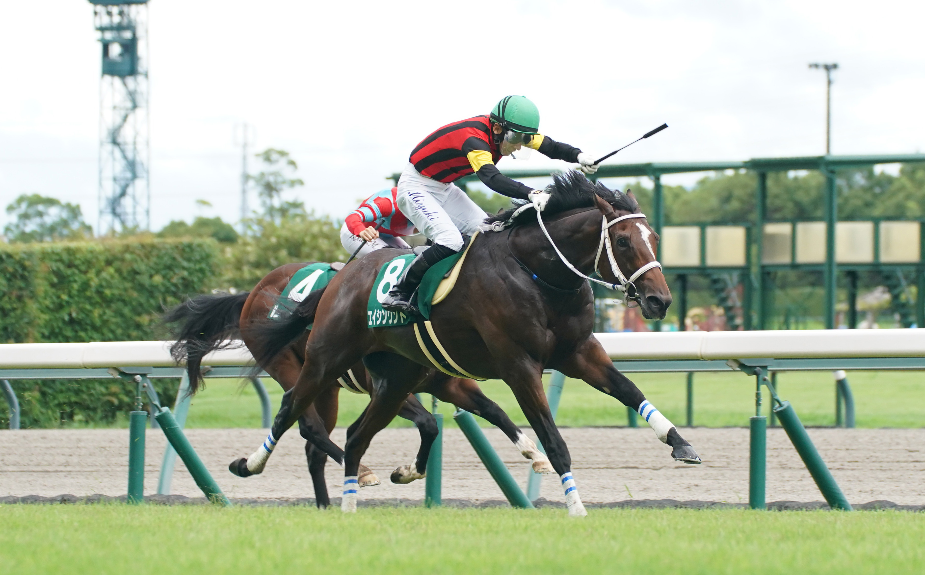 小倉2歳S】エイシンワンド、新馬Vの舞台で重賞初制覇 - サンスポZBAT!