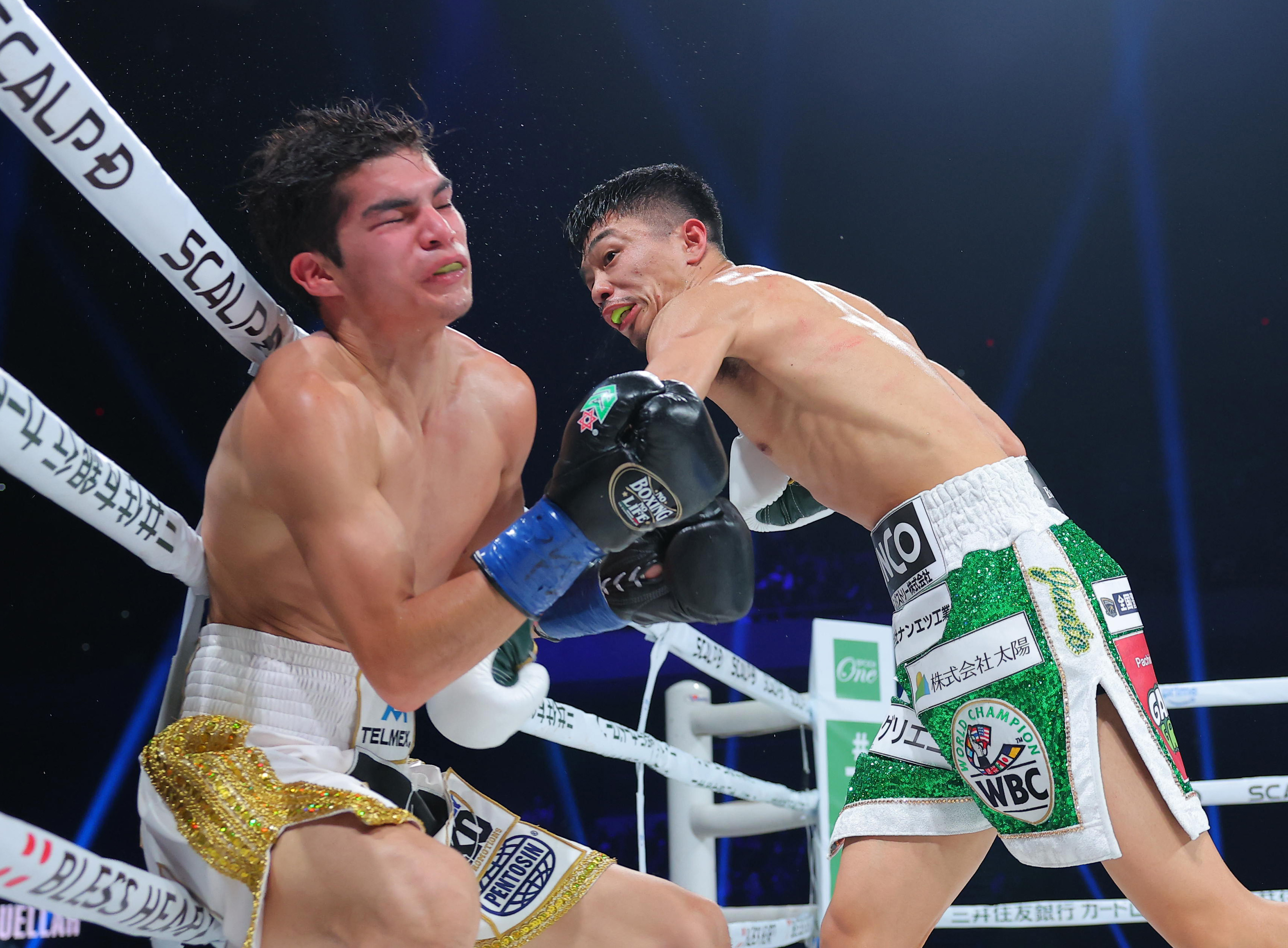 中谷潤人 WBC IBF タイトル統一戦 Tシャツ 中谷潤人 WBC IBF タイトル統一戦 Tシャツ 中谷潤人 WBC IBF
