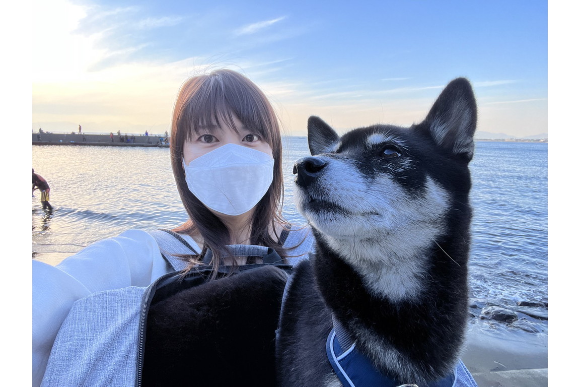 いざ江ノ島 柴犬、駕籠に乗って初上陸（その1） - イザ！