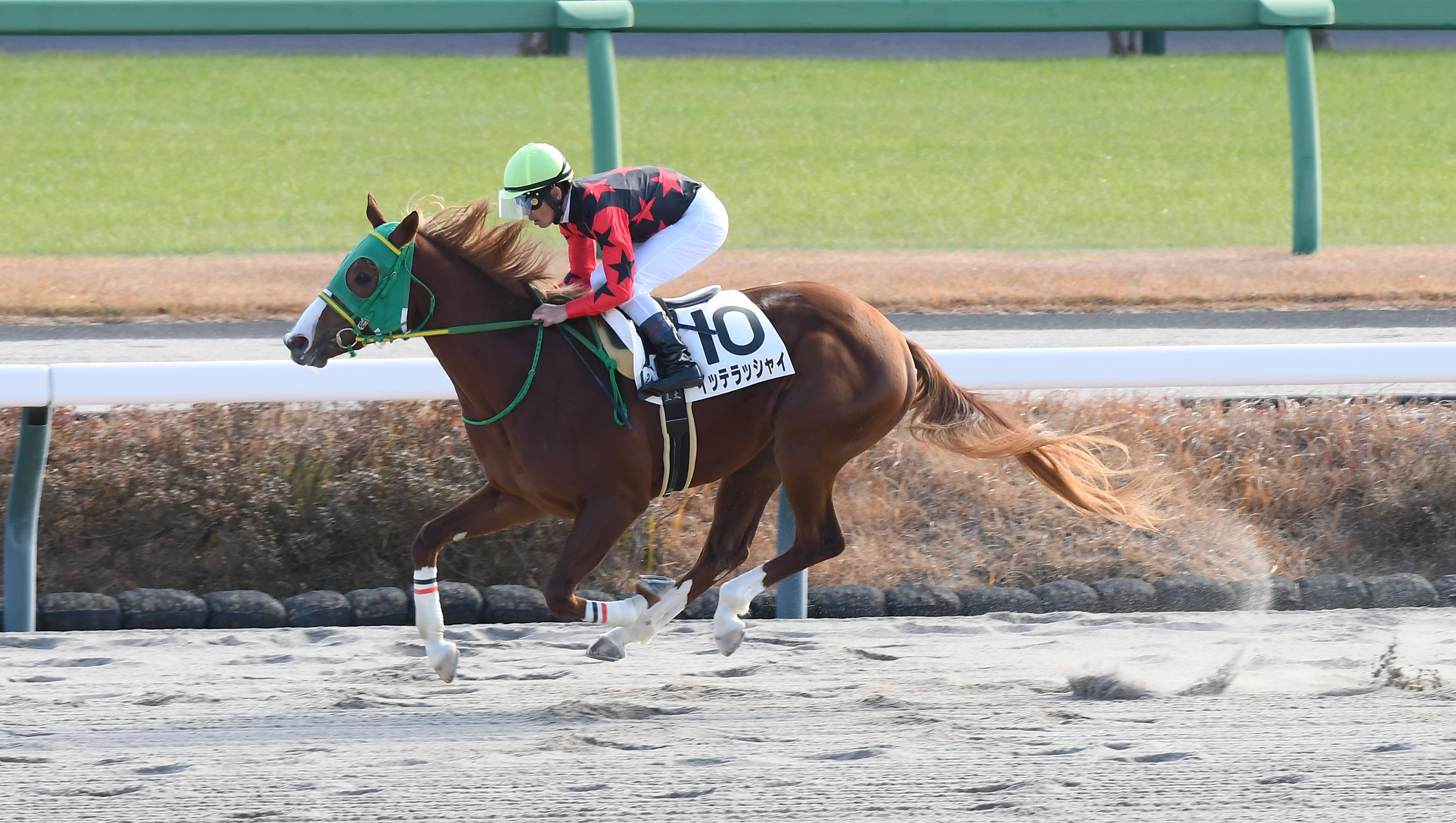 2歳次走報】堀江貴文氏の所有馬イッテラッシャイは黒竹賞へ - サンスポ