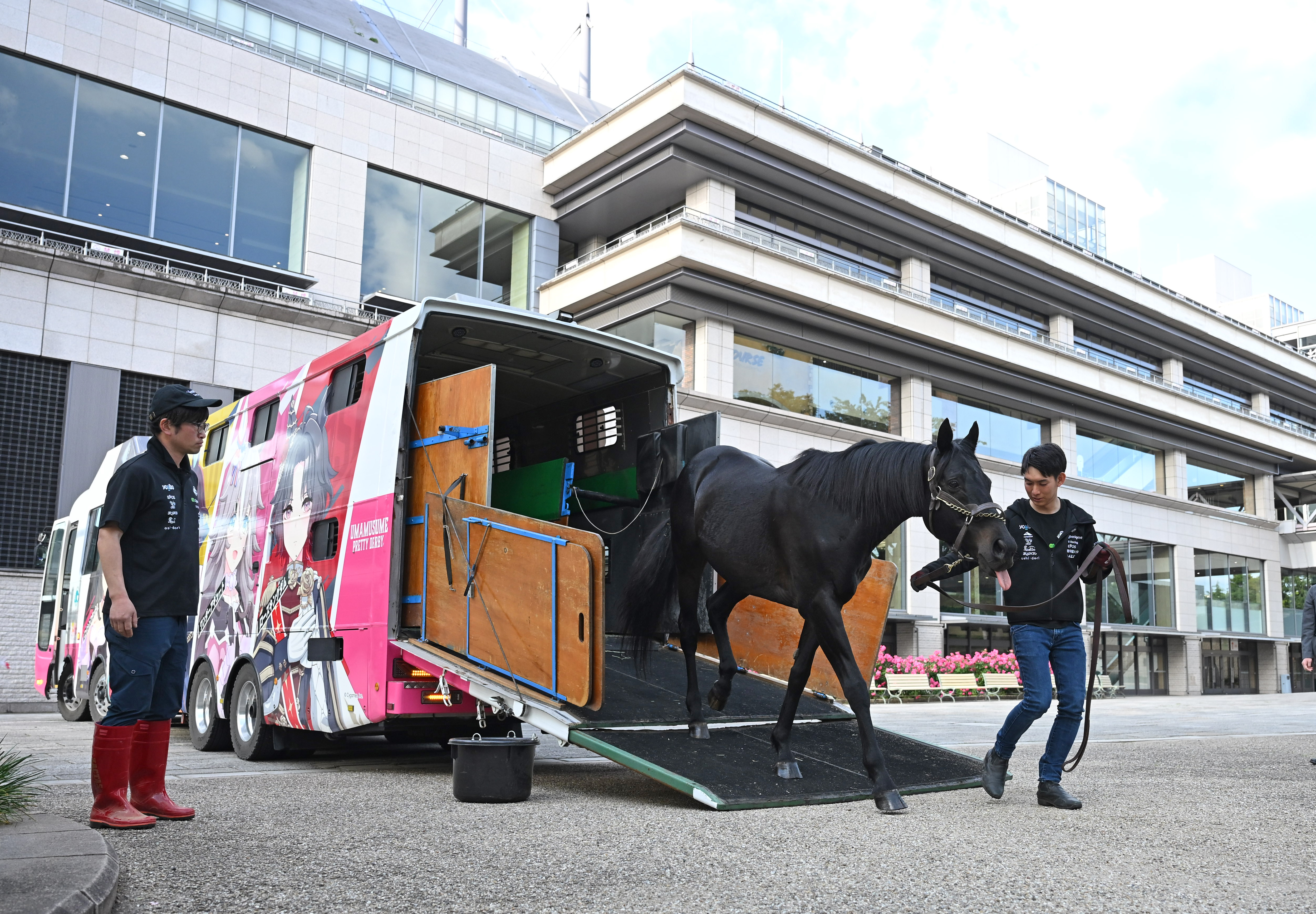【期限切れ単勝馬券】　日本ダービー　エイシンフラッシュ　ウマ娘　他全頭 日本ダービー馬エイシンフラッシュがお披露目のため東京競馬場に到着