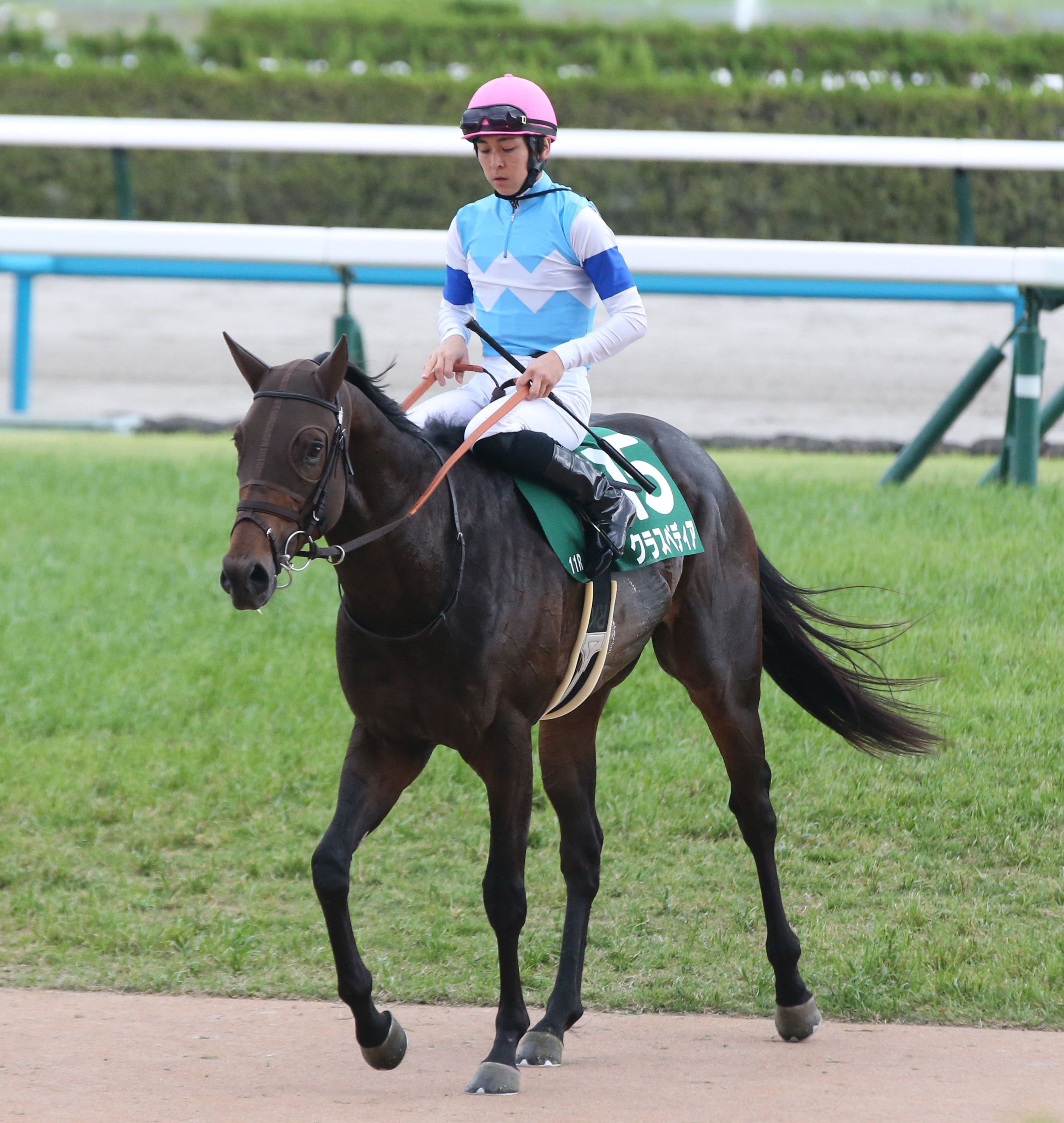 朱☆馬 小倉競馬・GⅢ北九州記念】1番人気は16連敗中！波乱必至の一戦を