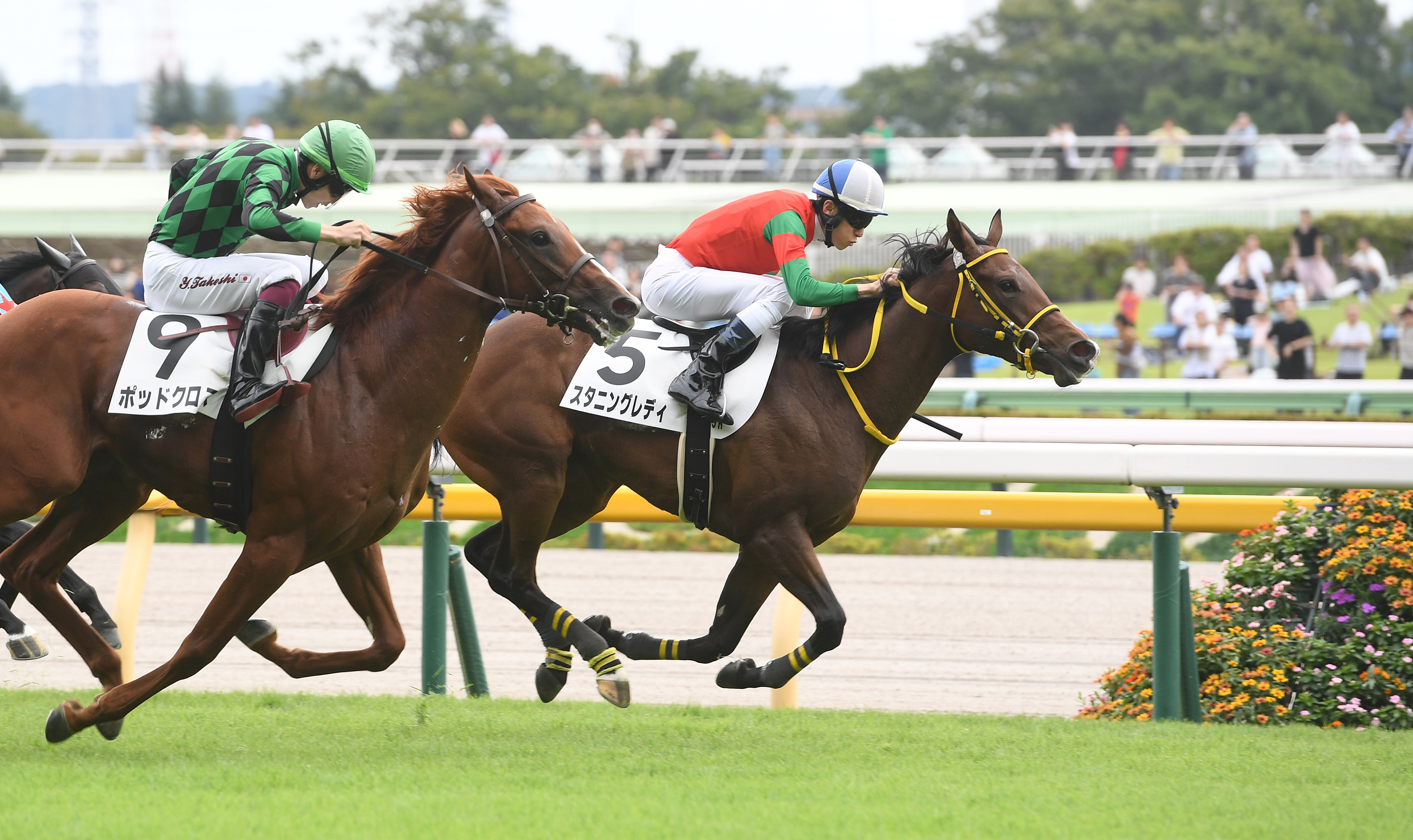 2歳新馬・東京5R】伏兵スタニングレディが直線横並びの激戦を制す