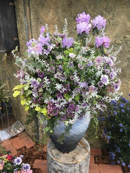 うめきたガーデン・動画】ギャザリング＆寄せ植えコンテスト入賞者発表